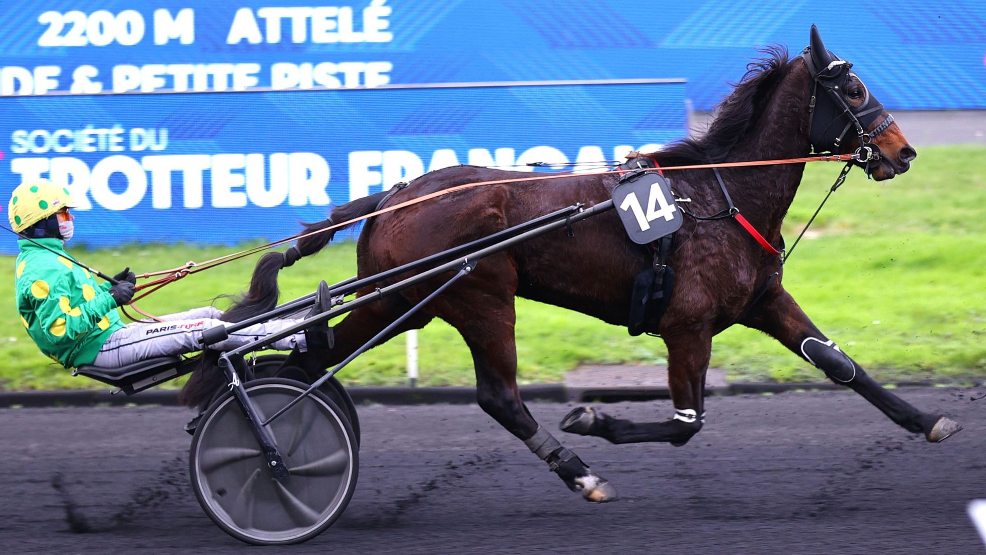 Magik de Pierrais - © ScoopDyga