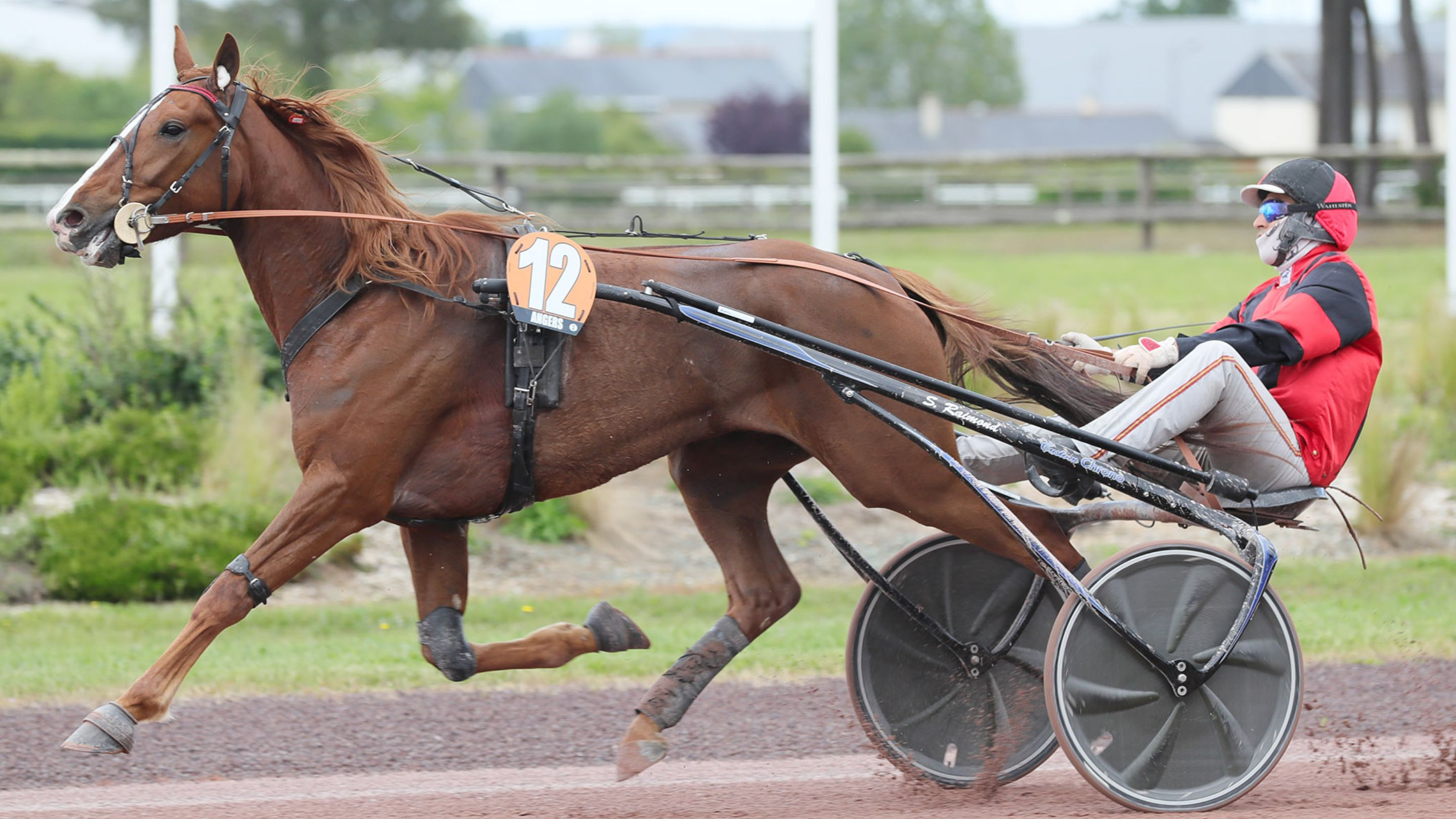 Magnus de Fleur - © J.-C. Briens