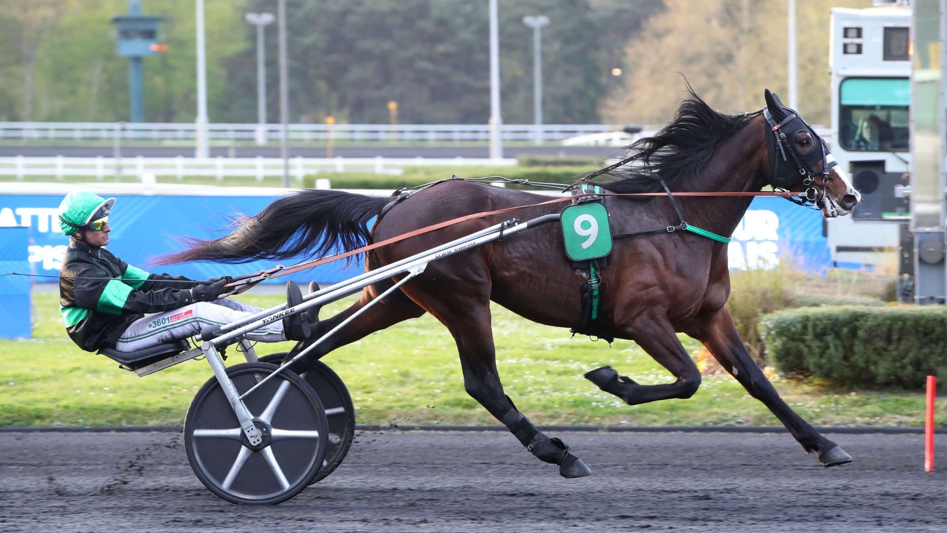 Maharaja Atout lors de sa victoire du 8 avril à Paris-Vincennes - ©APRH