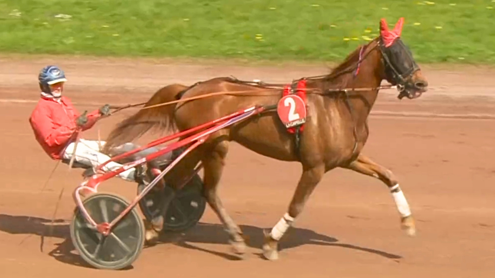 Maître du Chêne à La Capelle - © Equidia
