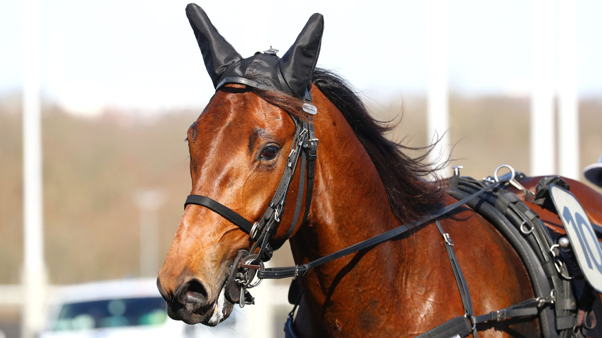 Make A Dream - ©Aprh