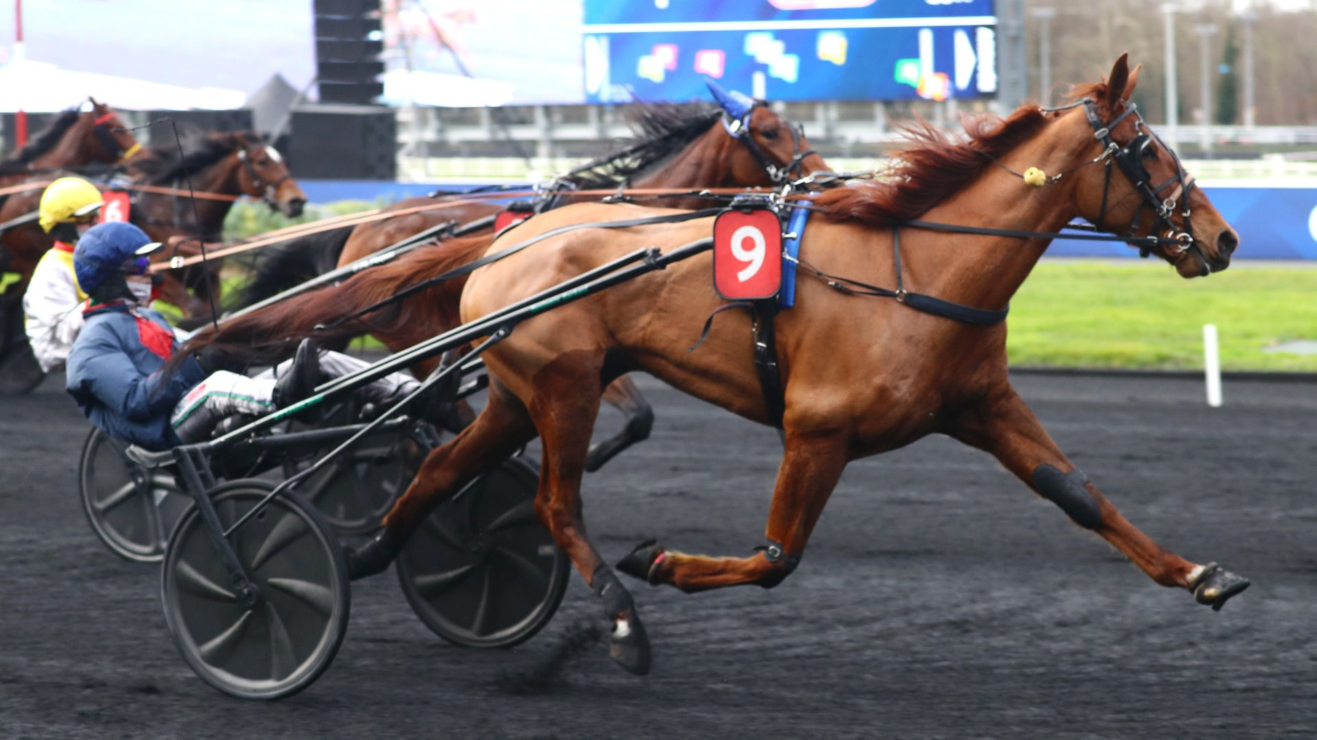 Make It Right (1ère à Vincennes en janvier), lot 3 de la vente - © Aprh