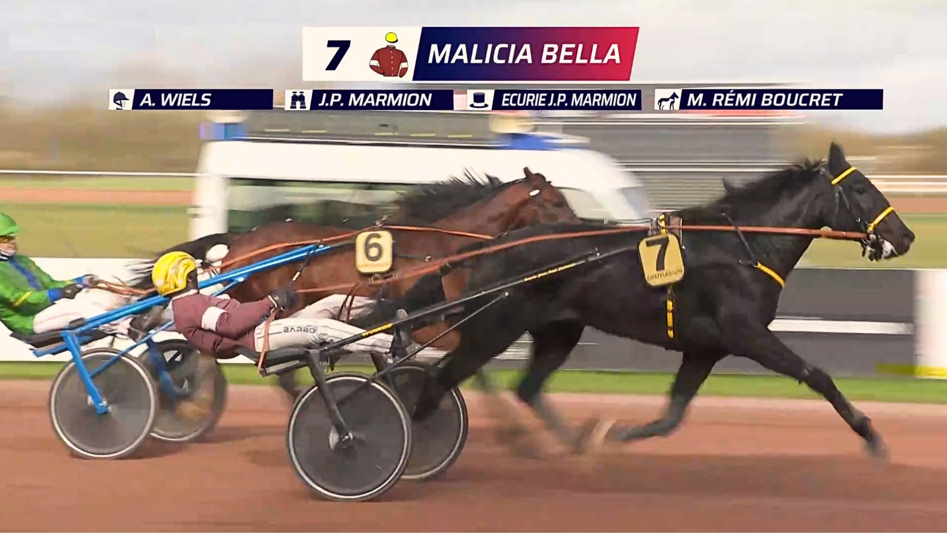 Malicia Bella, invaincue en quatre sorties - © Equidia