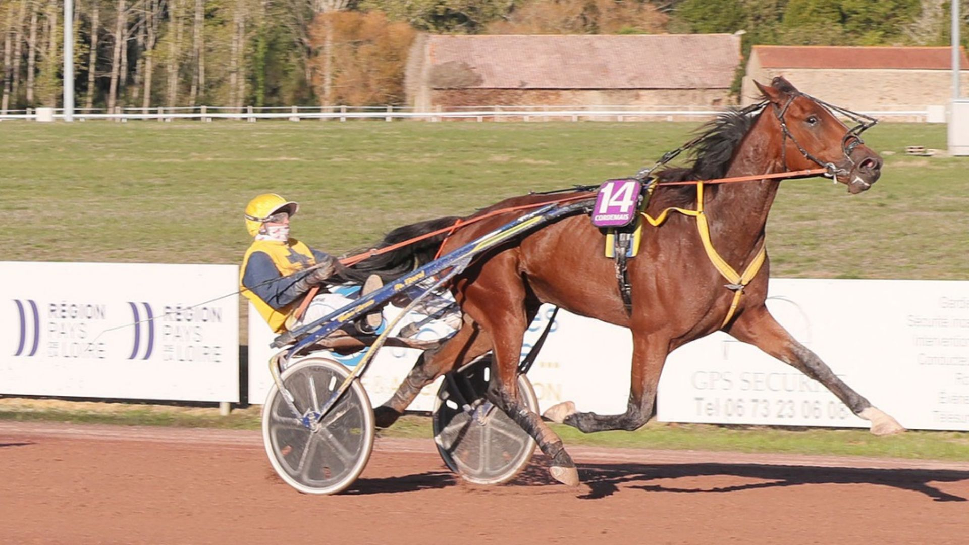Malium, très net vainqueur - © J.-C. Briens