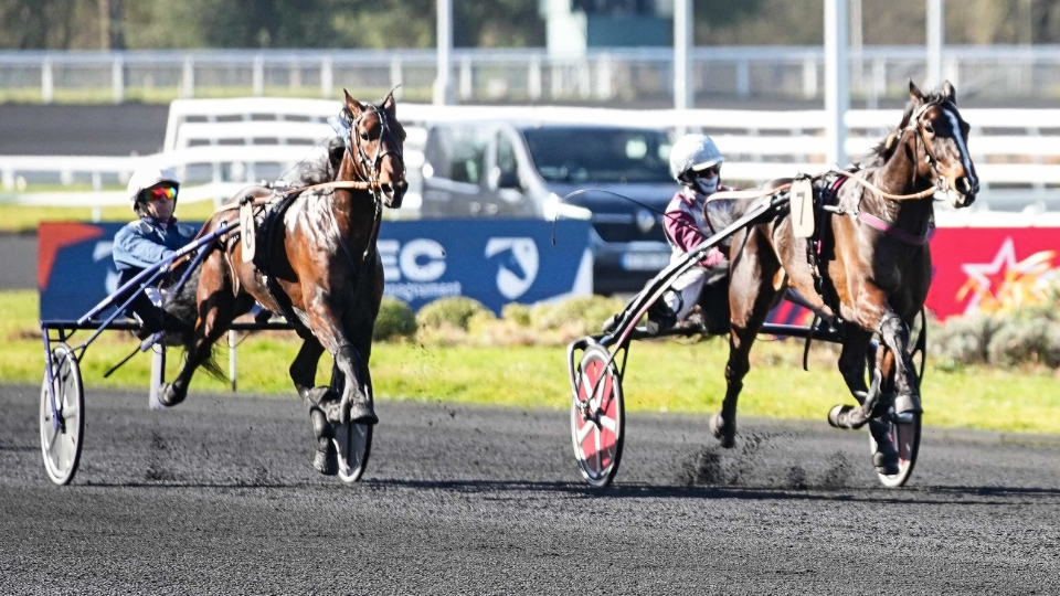 Memphis de Brassé - Manaslu