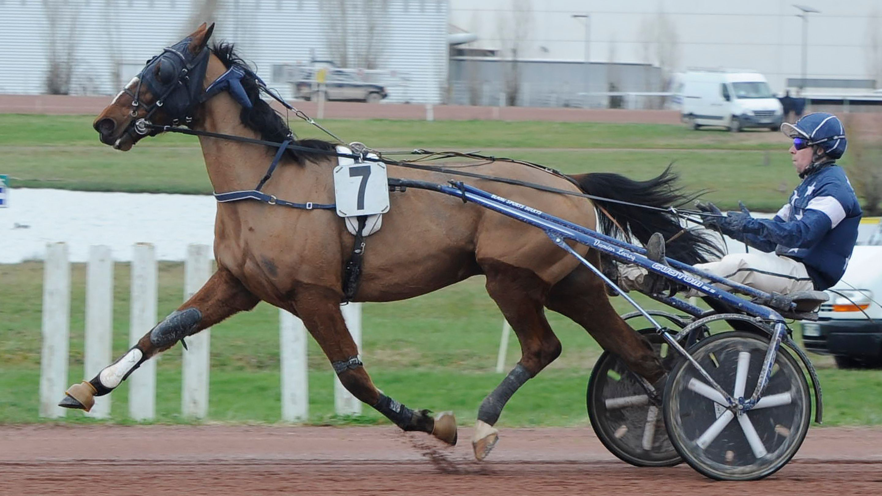 Mango Paulo - © V. Ortega