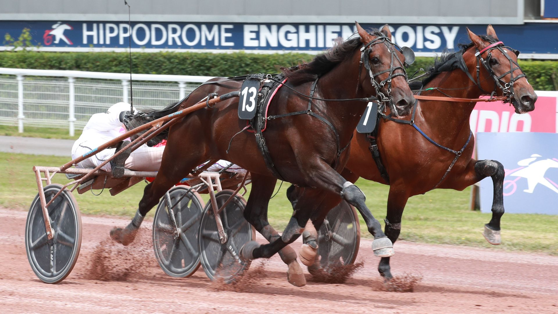 Marzipan prend le meilleur sur Mix Cash - ©Scoopdyga