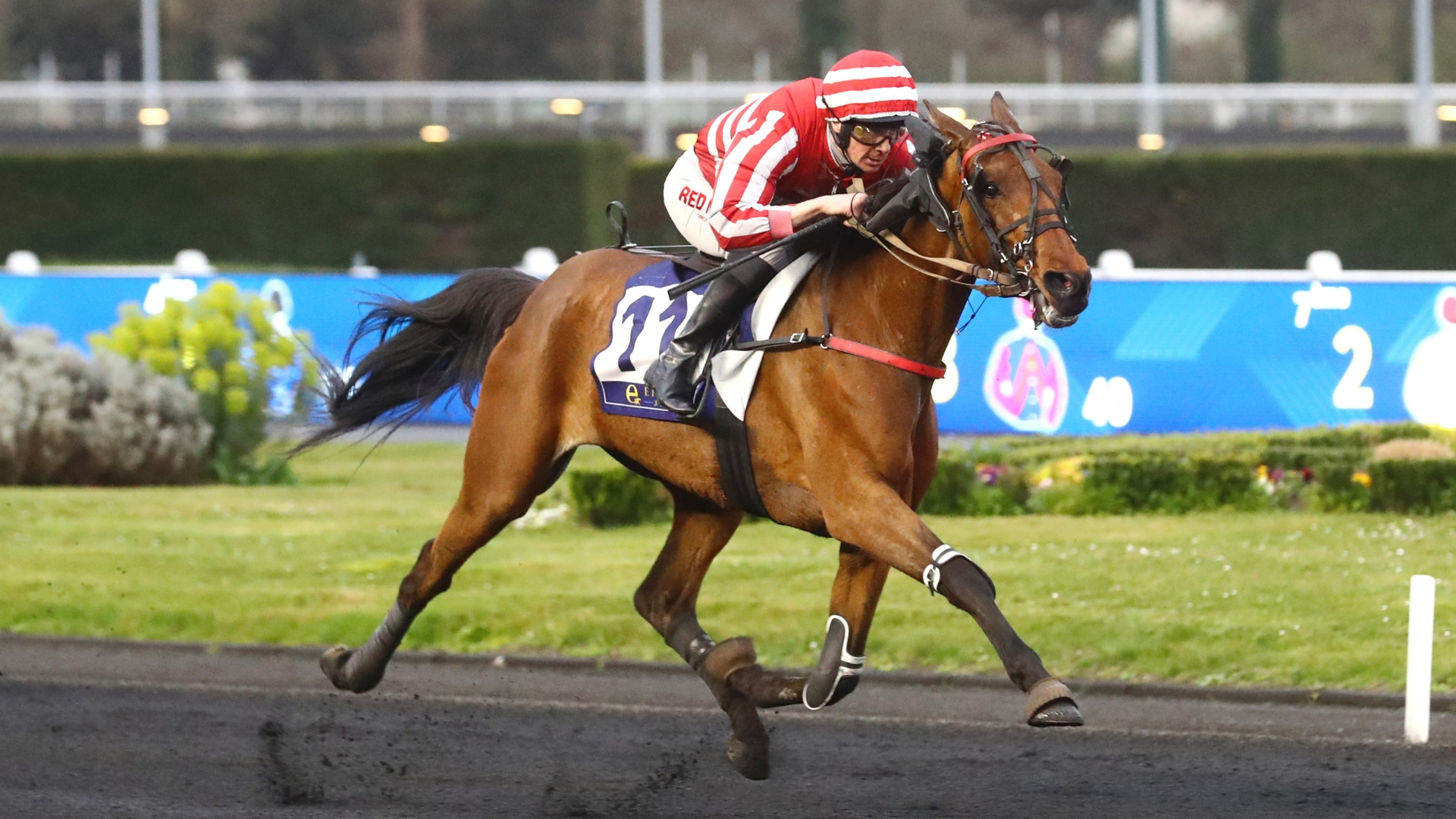 Masina de Tillard lors de ses débuts victorieux sous la selle (Prix Ali Hawas 21 Mars 25)