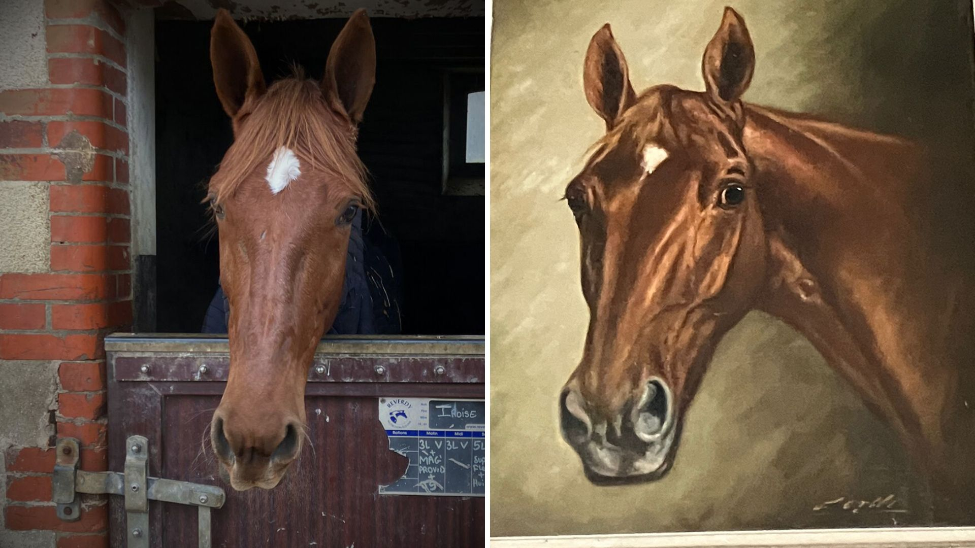 Iroise de la Noé et Masina