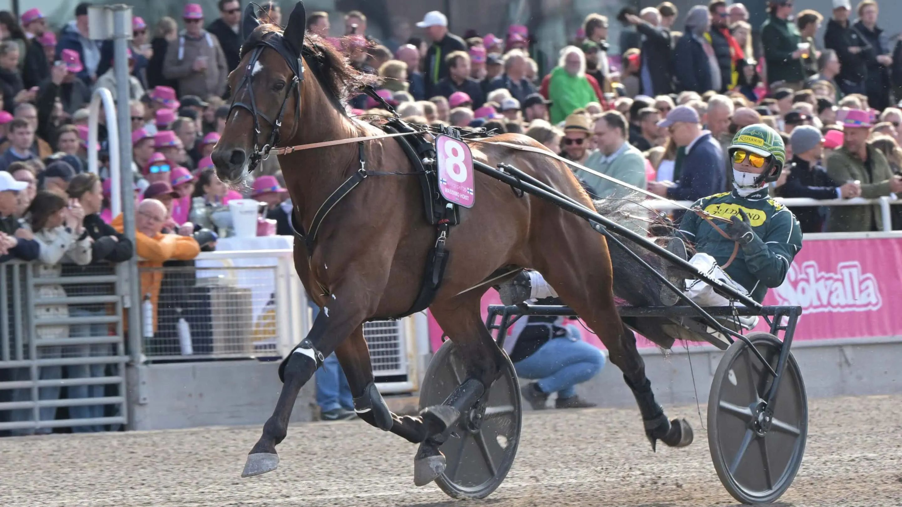 Massimo Hoist - © Solvalla/TR Bild