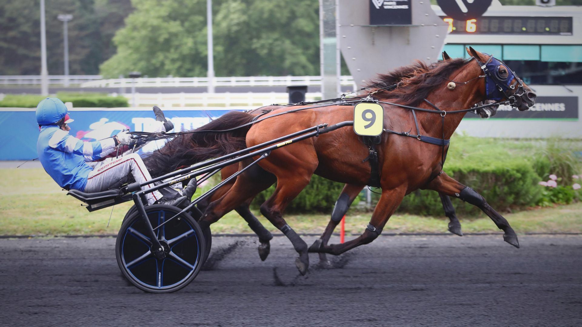 Mat Manathis - ©Aprh