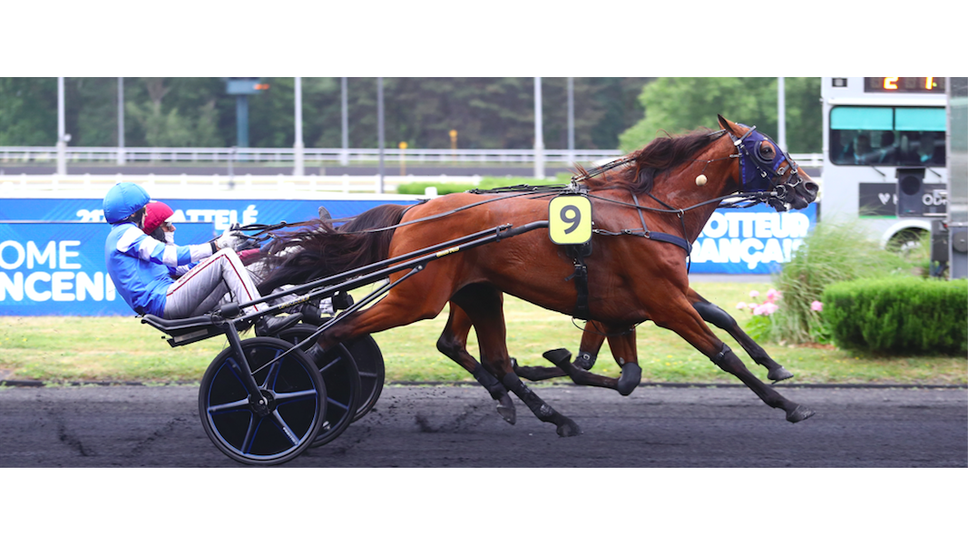 Mat Manathis - Monzon Normand