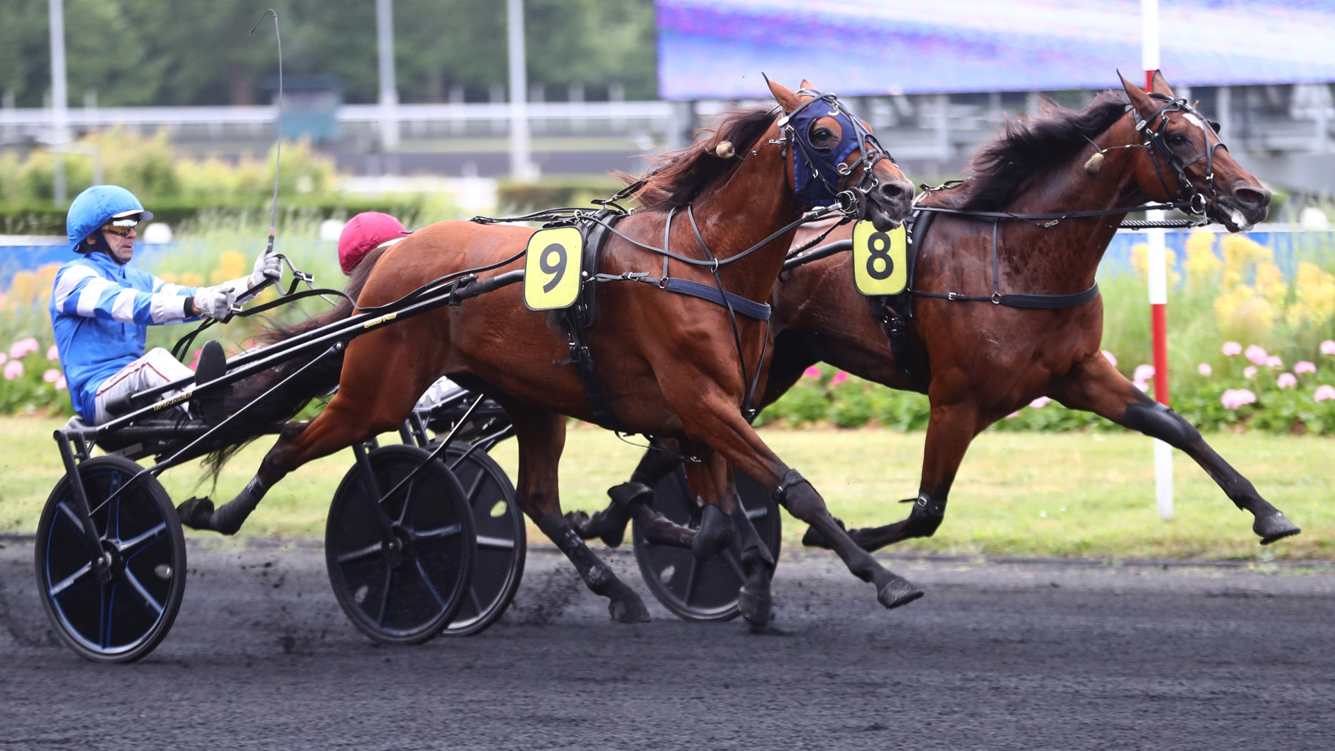 Un espace temps concentré jusqu'aux Critériums