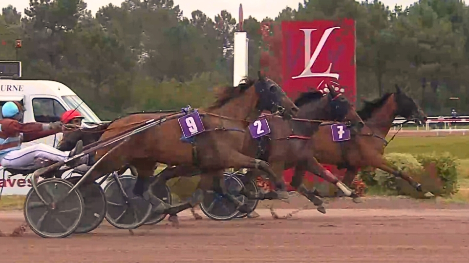 Maya du Pommeau - Miss d'Hermès