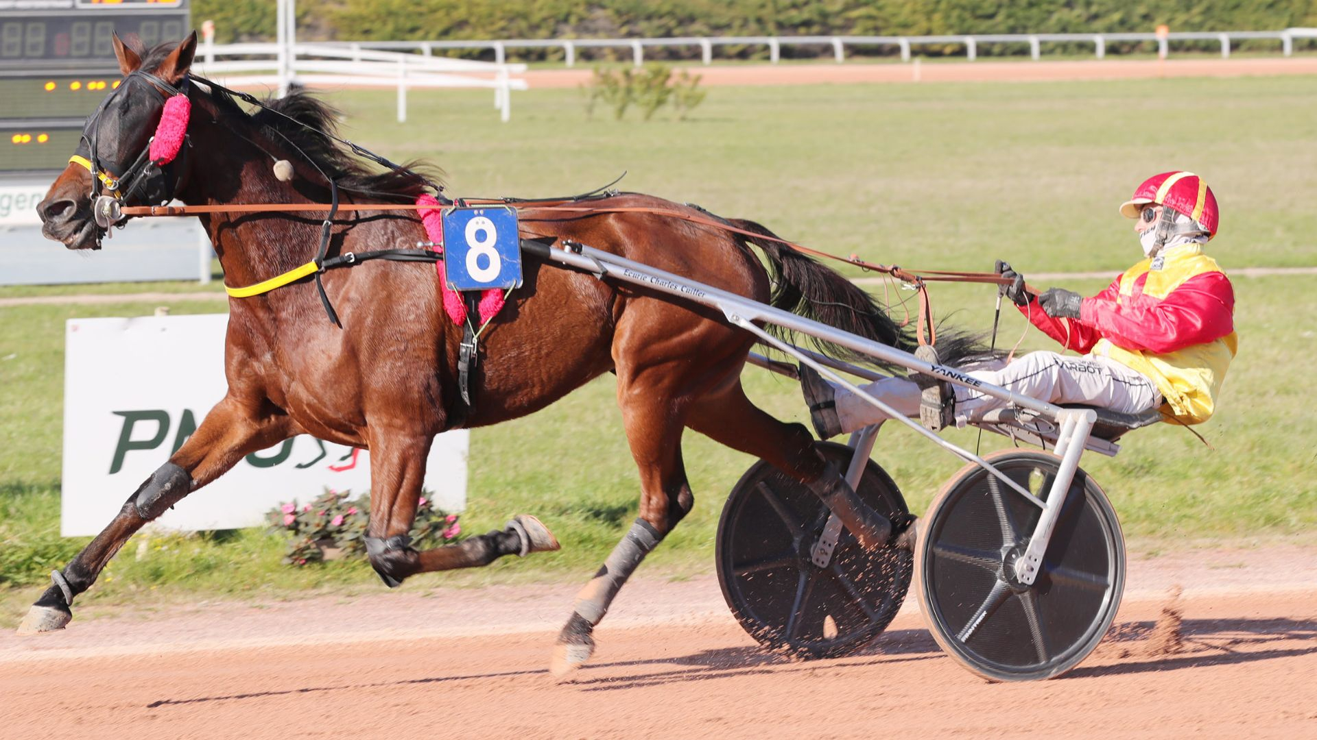Mazel Tov Dairpet fait encore impression - © J.-C. Briens