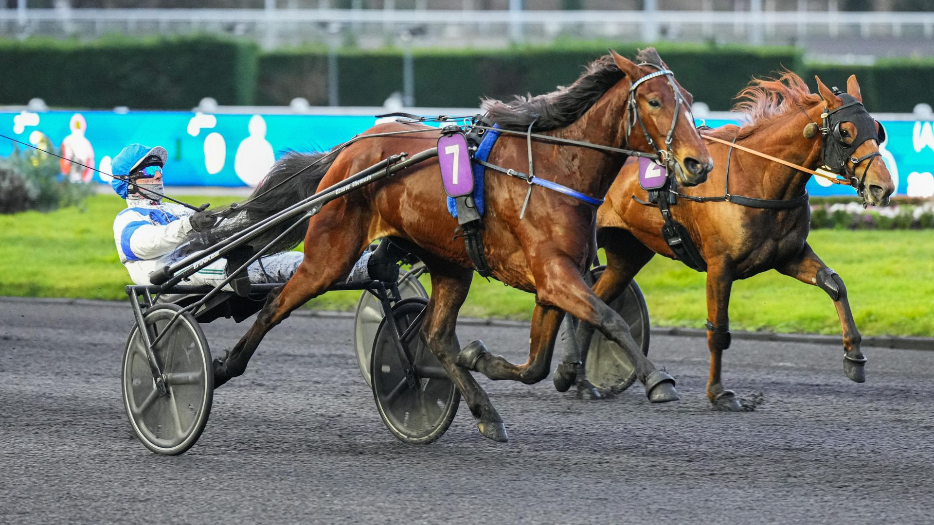 Melia Barbes - ©Scoopdyga