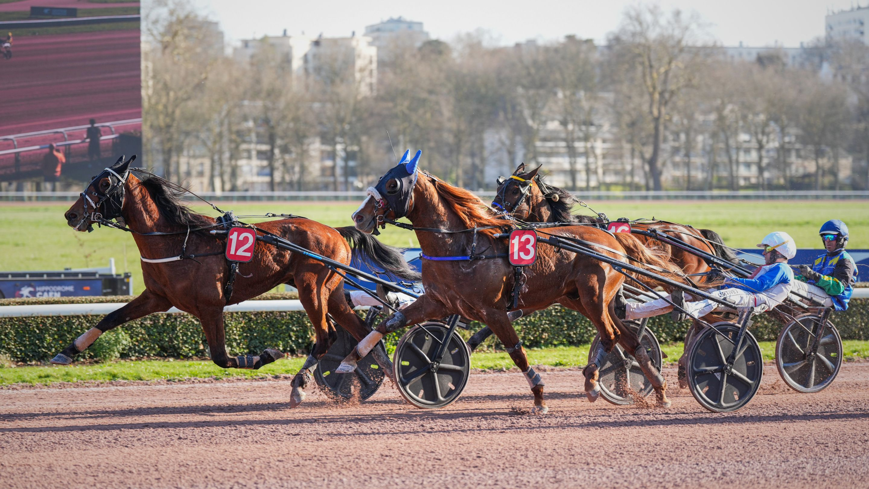 Mélomane de Lou (12), le plus fort en dedans - © Aprh