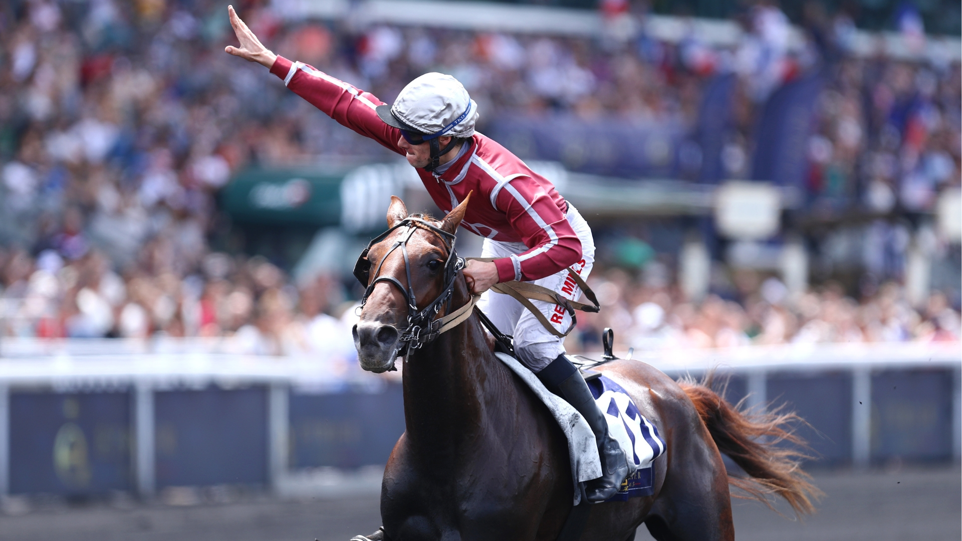 Météore de Simm dans le Prix d'Essai - © Aprh