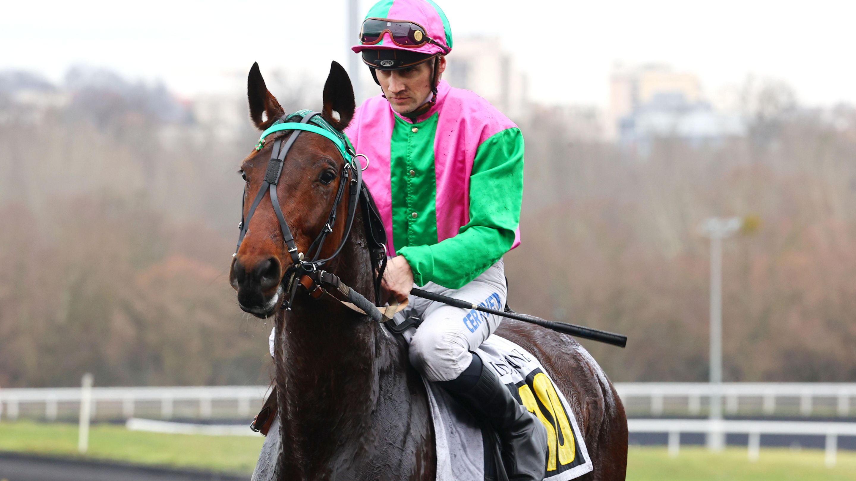 Mhum Flyng, déjà double vainqueur en 2026 - © ScoopDyga