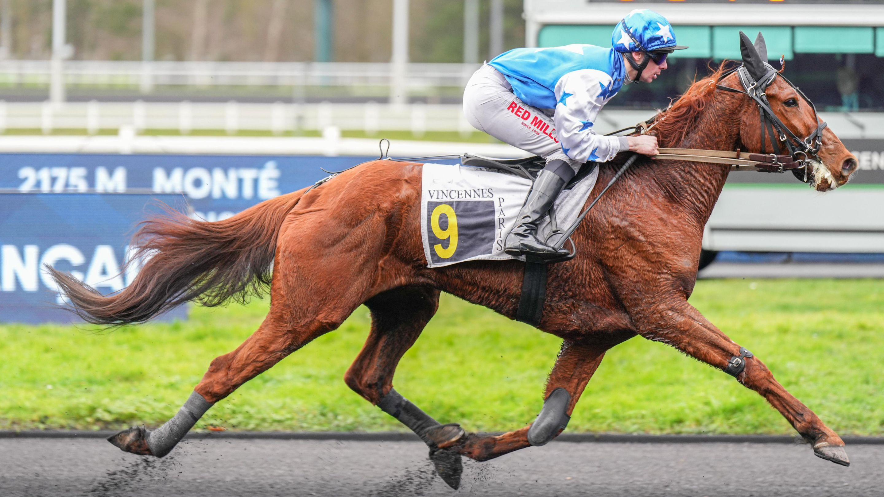 Miles Davis Wind - © ScoopDyga