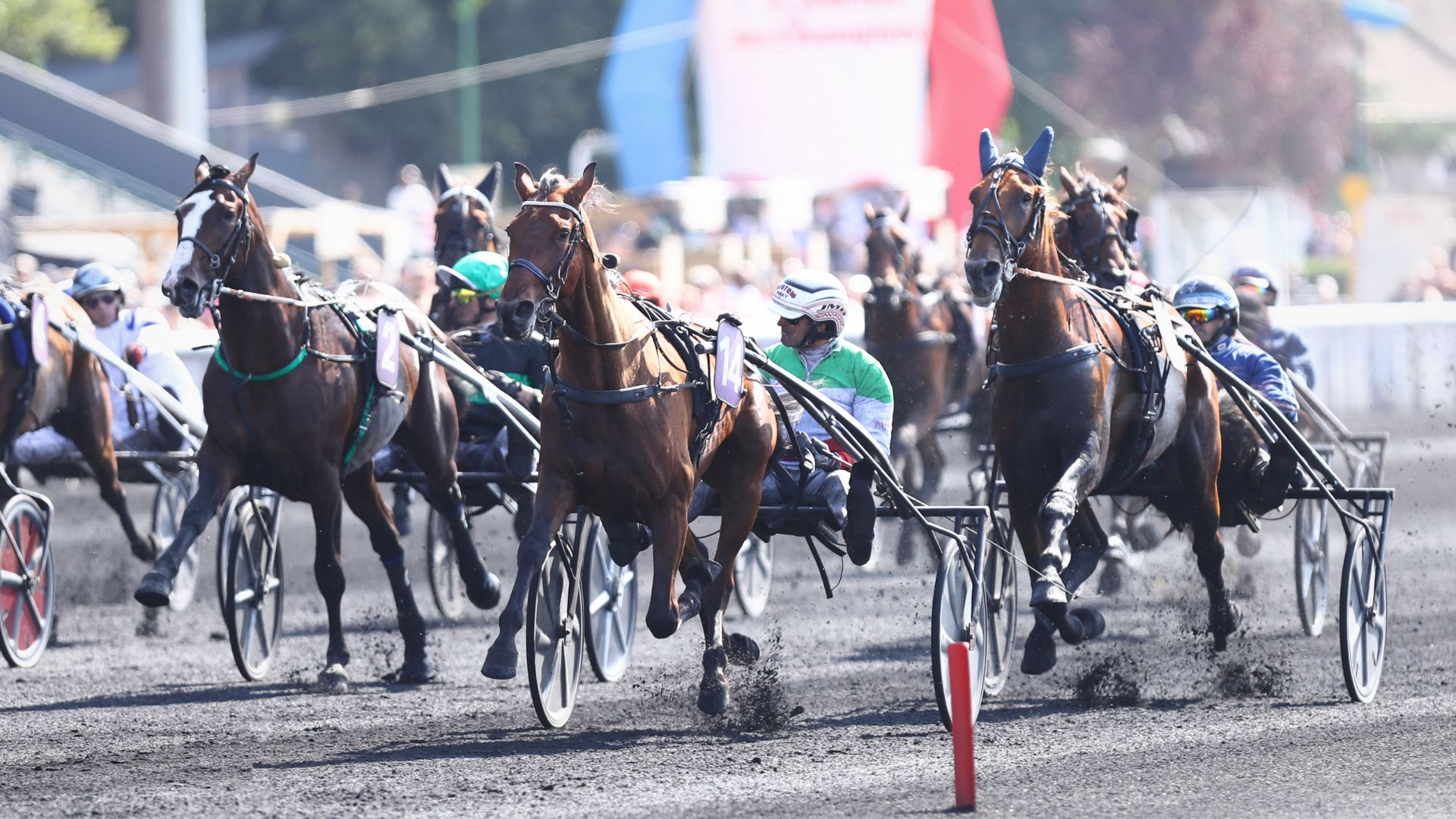 Mille Étoiles - Magic Man