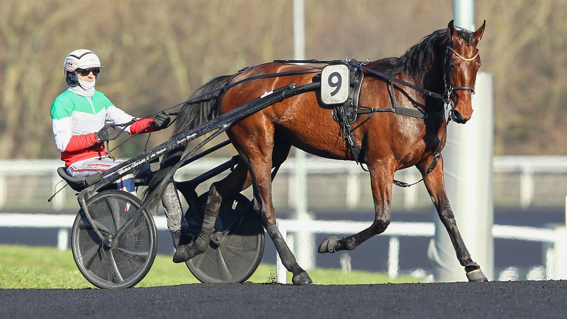 Mille Etoiles - © ScoopDyga