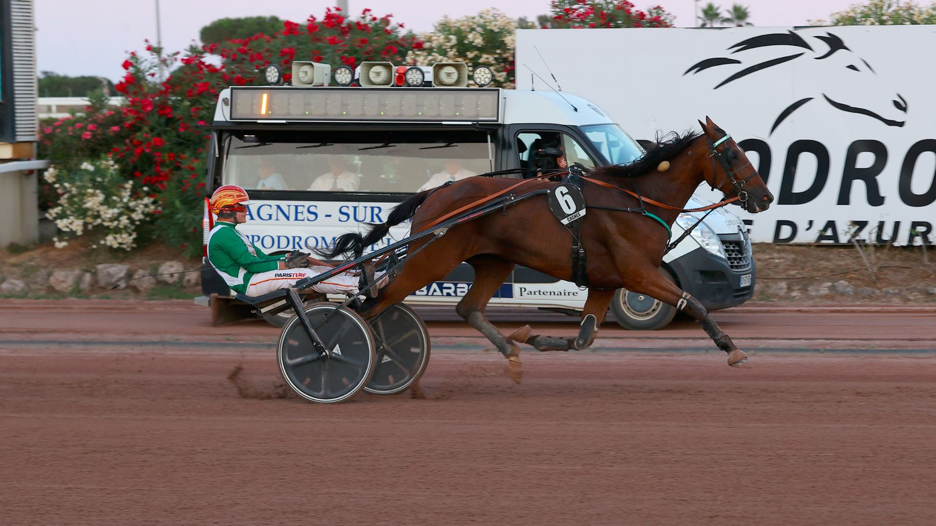 Milord de Buy - ©CouleurCasaques