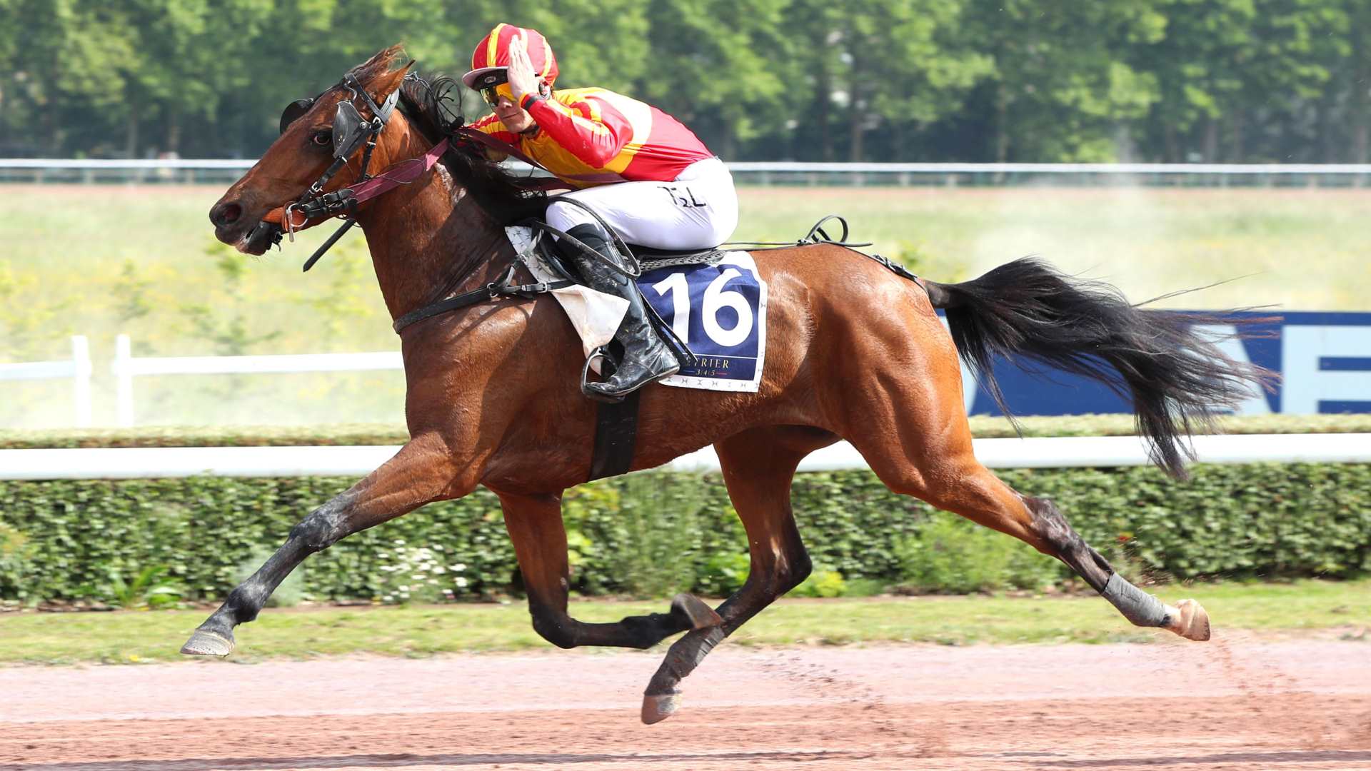 ©Scoopdyga - Miss des Besaces : deux succès dans les "Qualifs"