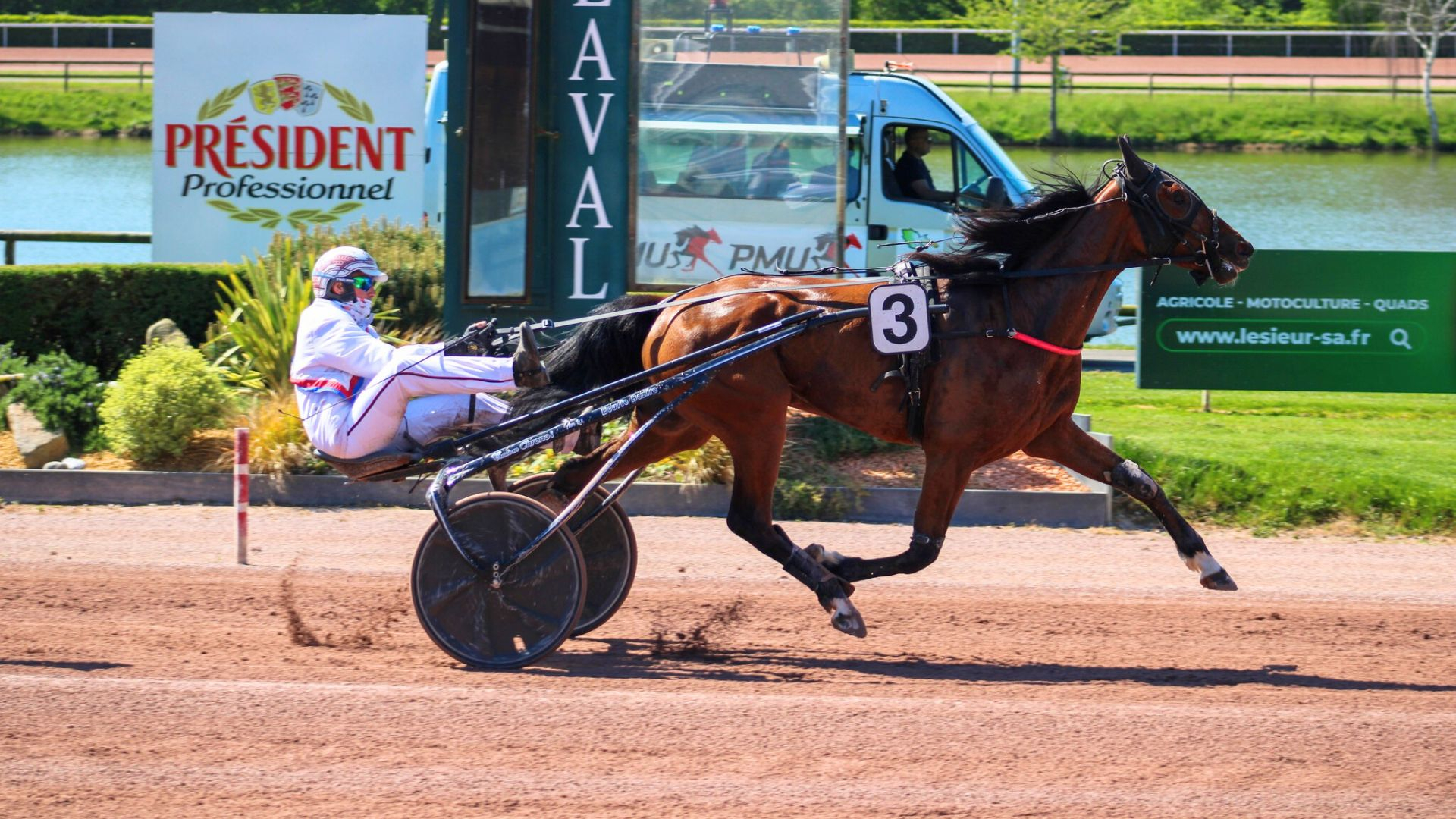 Miss Black Berry - ©HippodromedeLaval