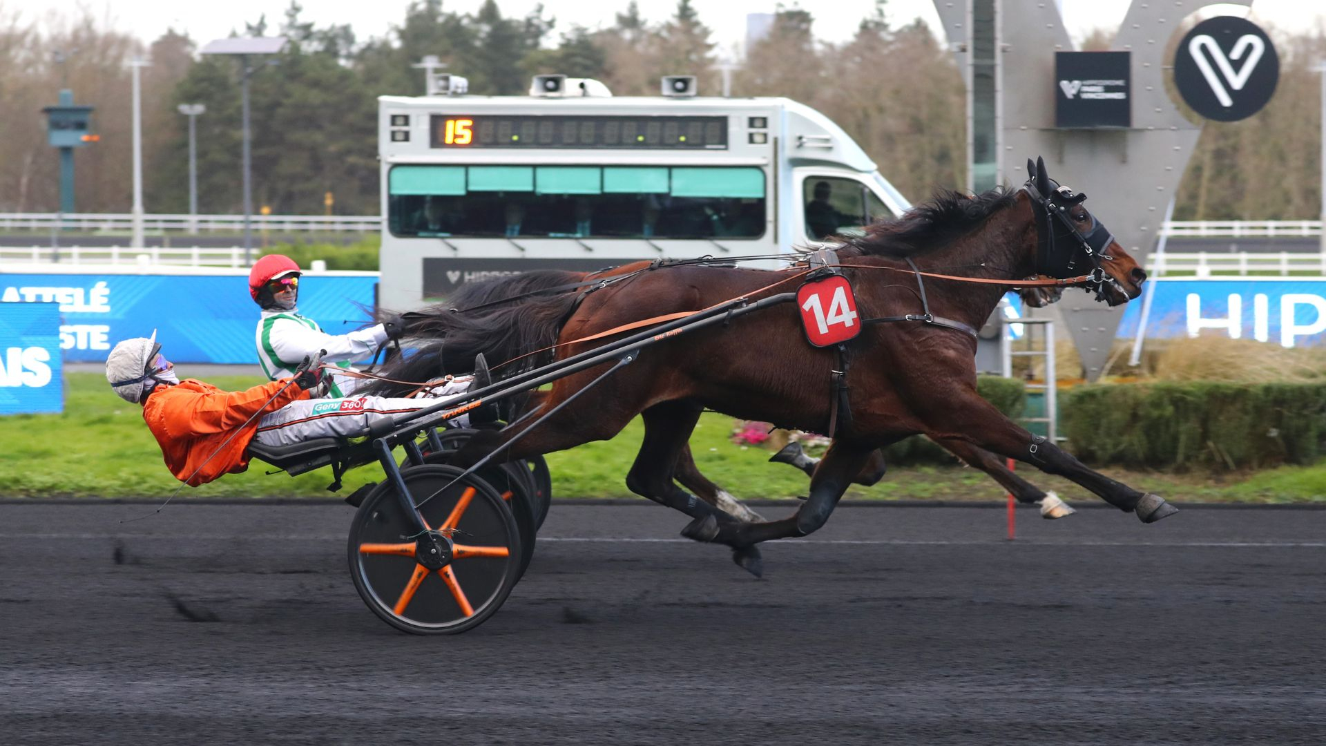 Miss Disco au premier plan - ©Aprh