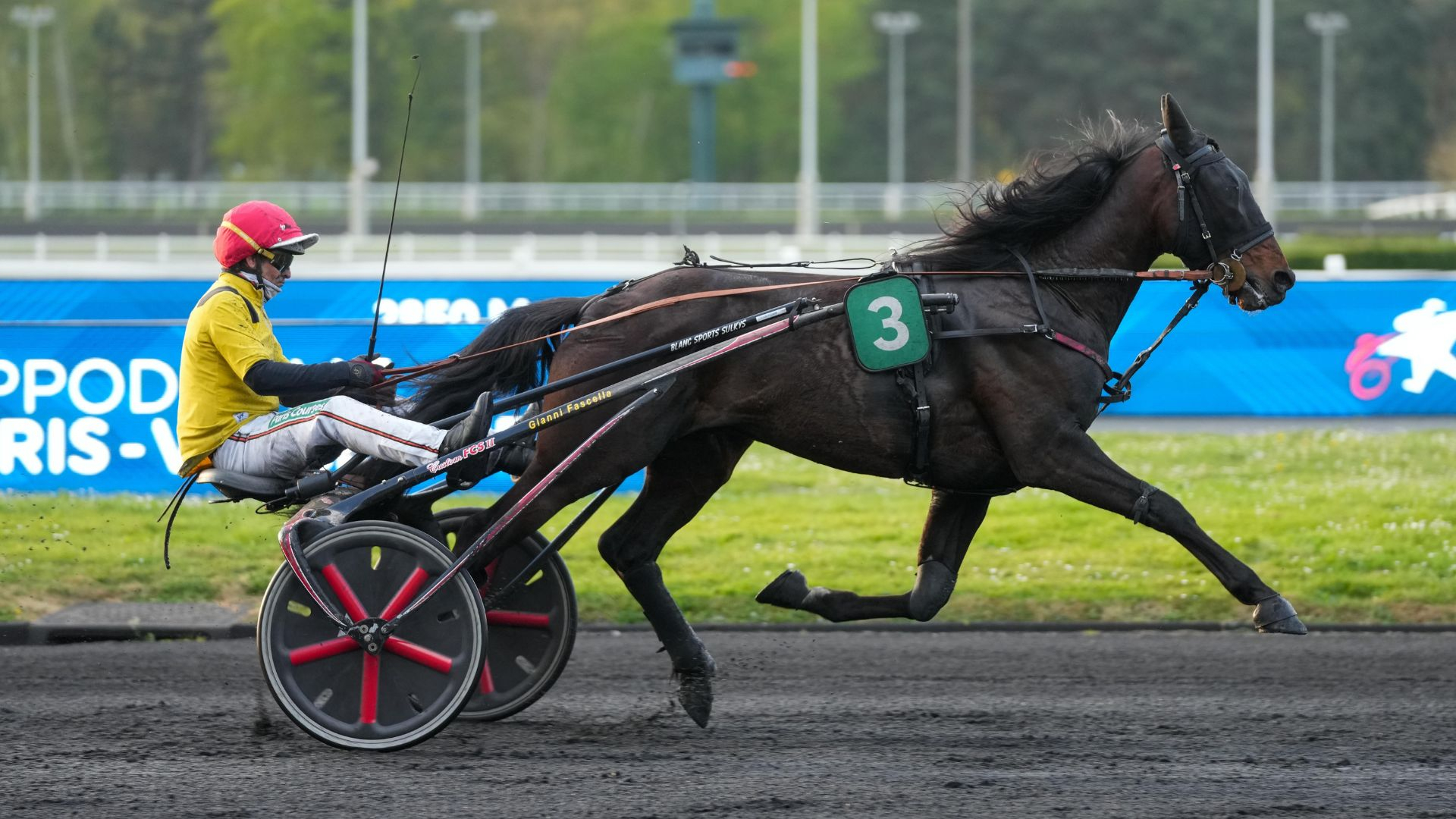 Mister Mourotais ici à Vincennes - ©Scoopdyga