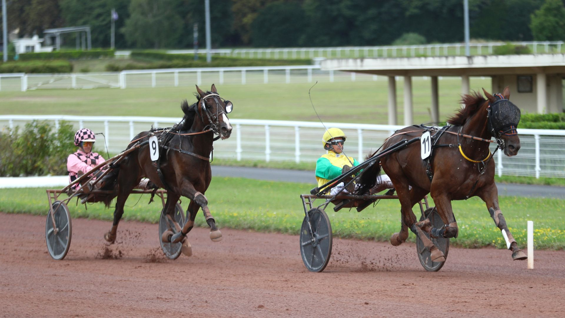 Mister Dream Ty repousse Mister Royal - ©Aprh