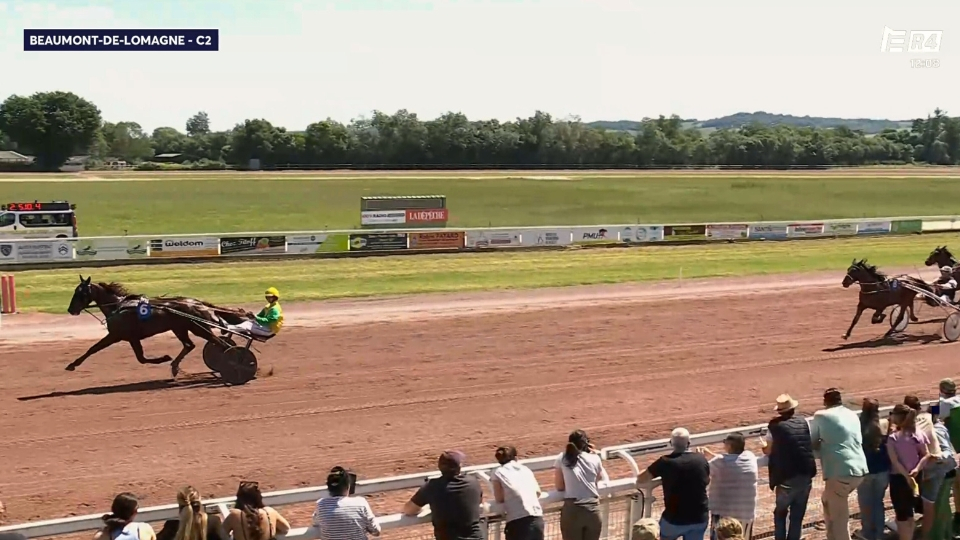 La démonstration de Mister Dream Ty - © Equidia