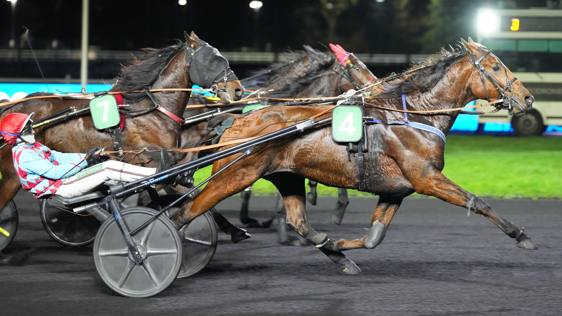 Mistral du Bois - © ScoopDyga