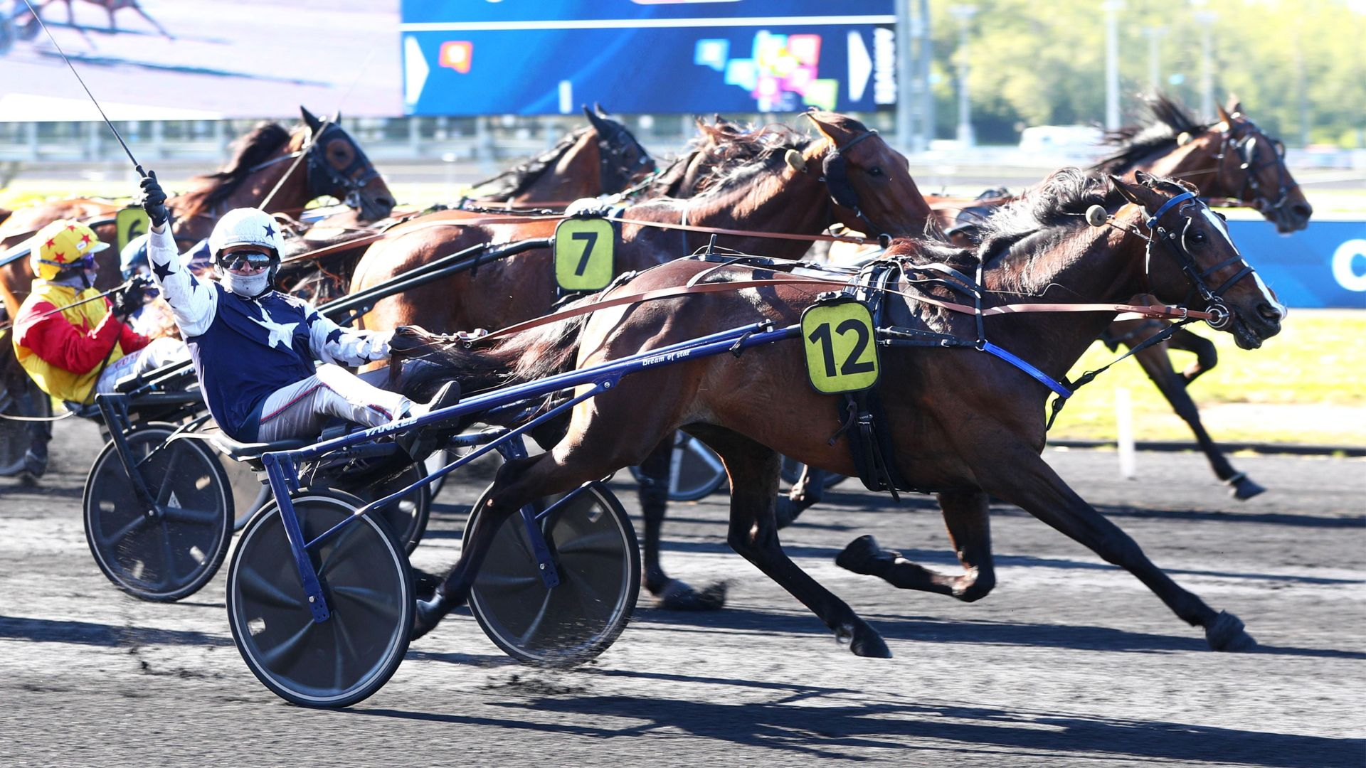 Mistral du Goutier, meilleur finisseur - © ScoopDyga