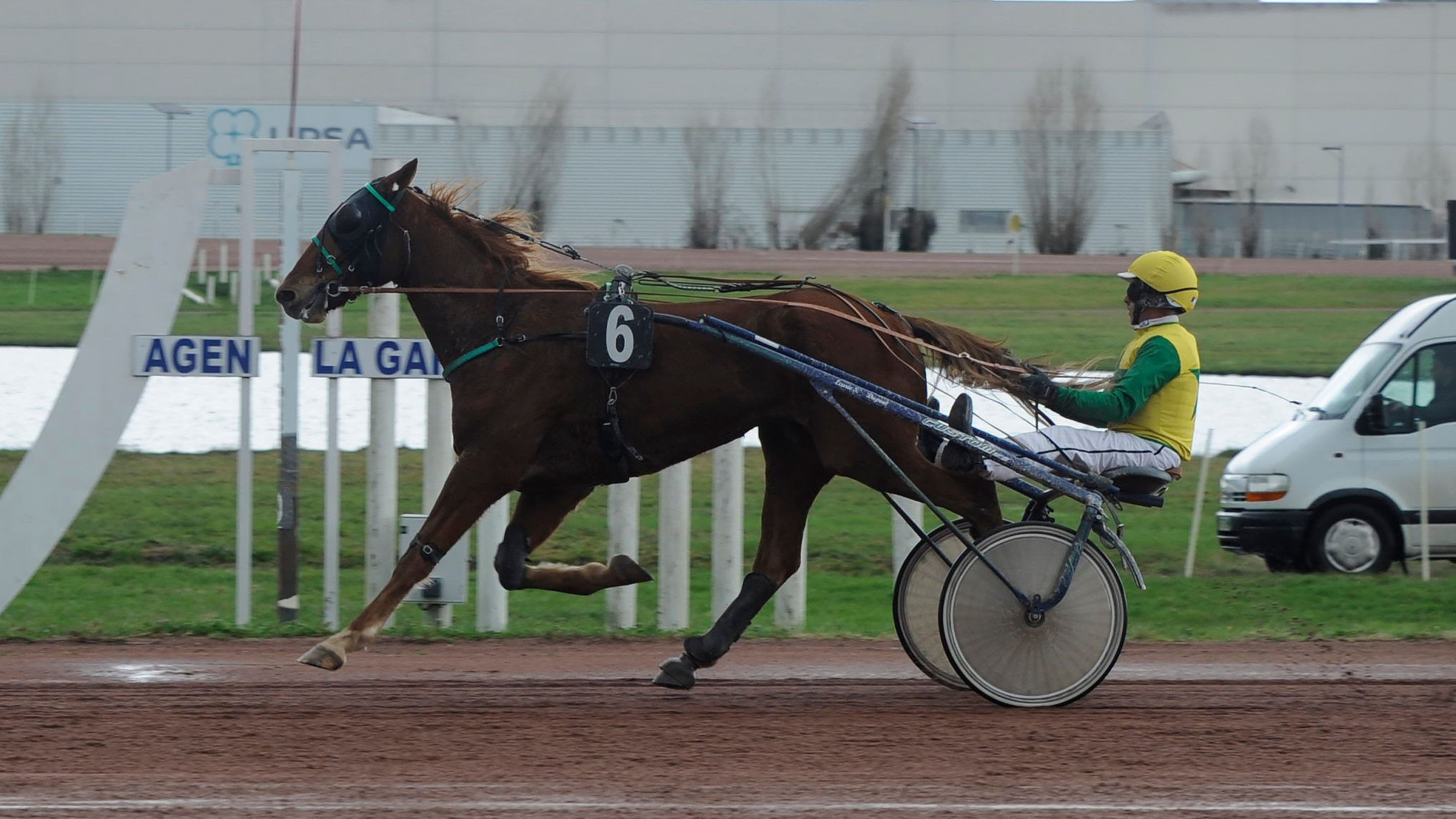 Mon Rêve - © V. Ortega