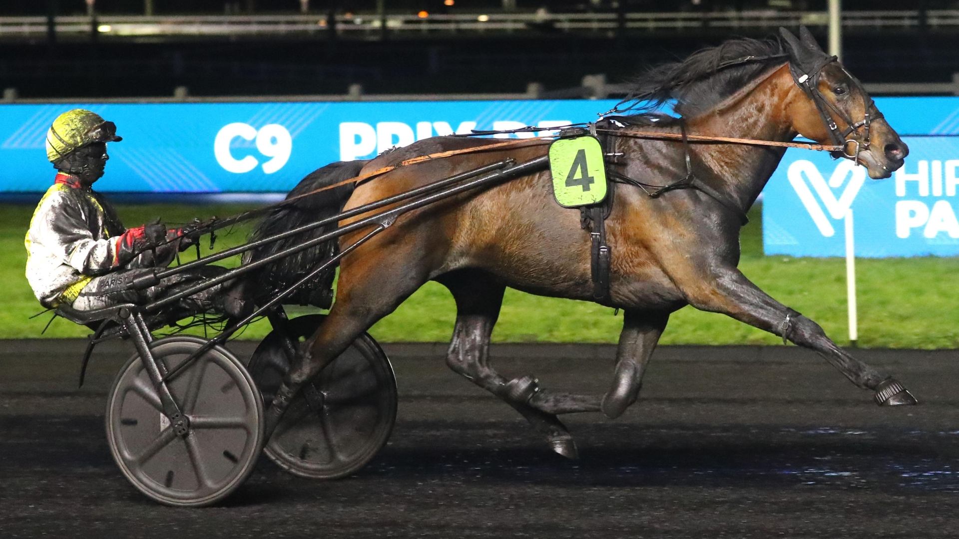 Moonstar Jyl lors de son récent succès à Vincennes - © ScoopDyga