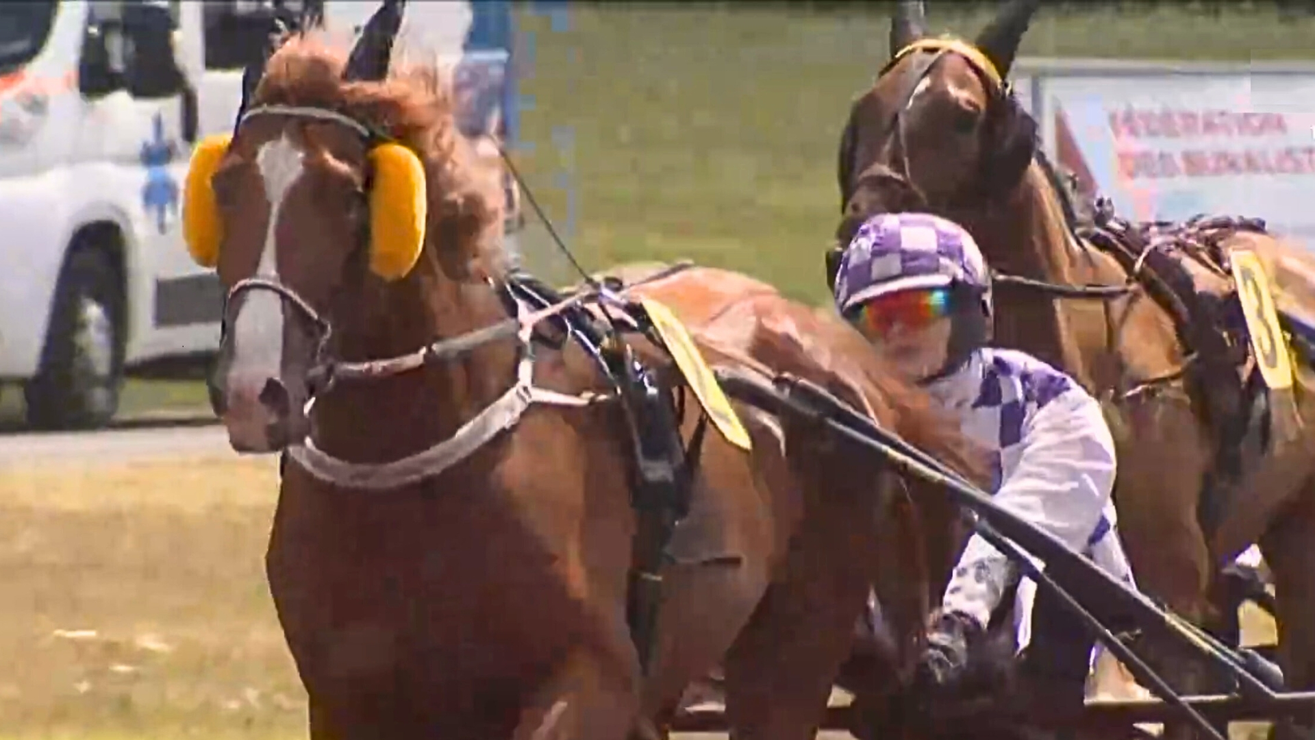 Mordu de Foot, autoritaire vainqueur à Saint-Galmier - © Equidia