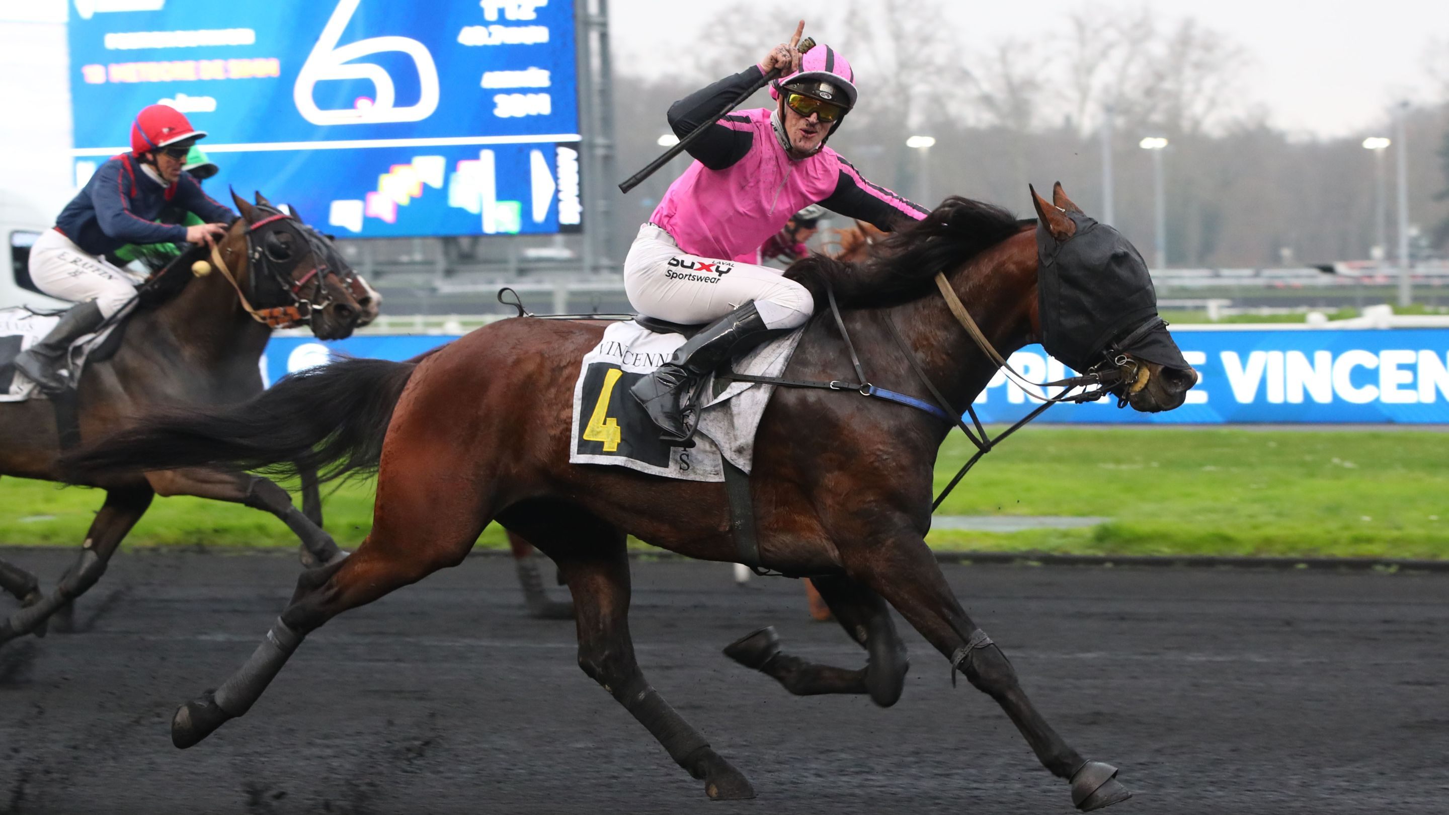 Moustik la Govelle, le vainqueur du Prix de Vincennes - © Aprh