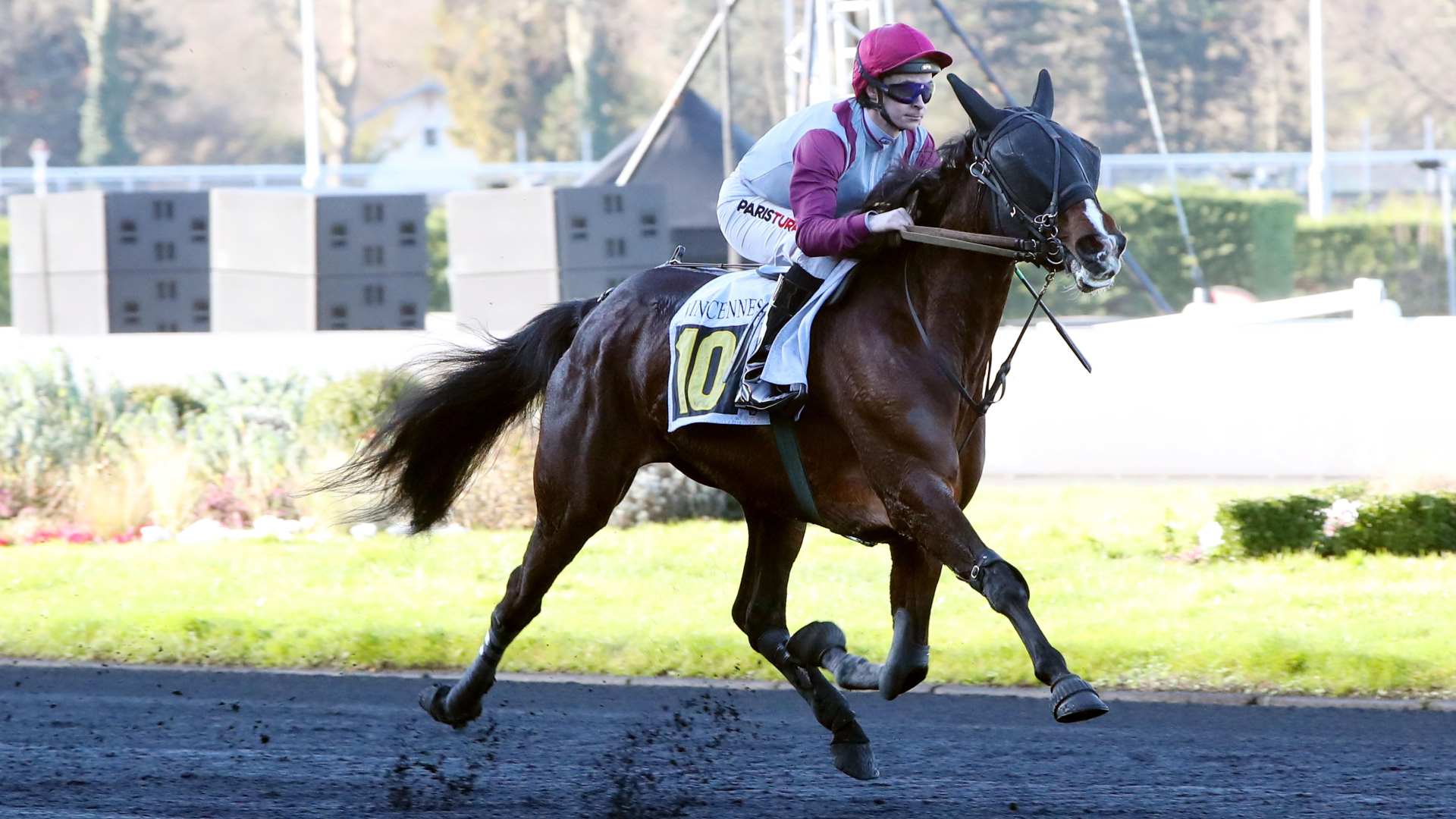 © Scoopdyga - Munhoa Vedaquaise est la seule candidate avec un émoji vert