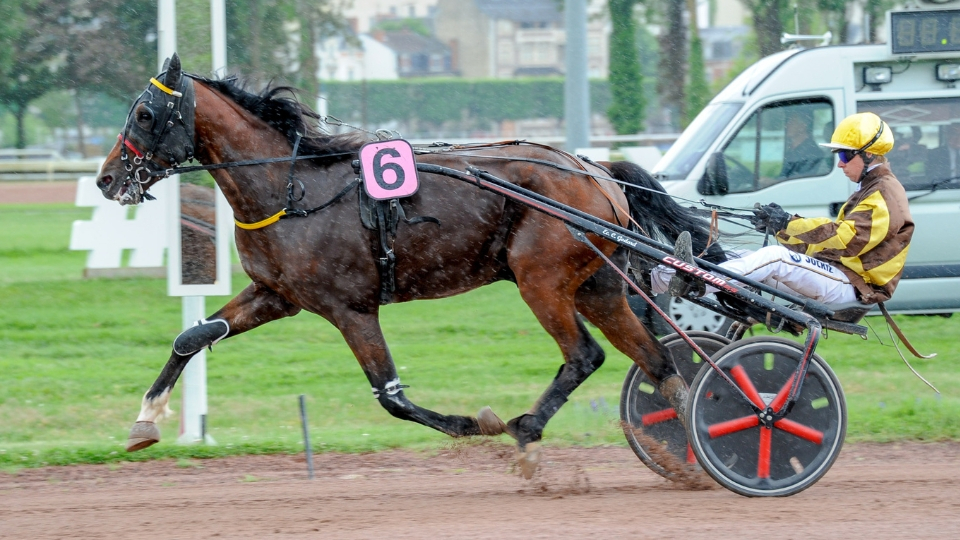 Muscdarche s'impose en solitaire - © Aprh
