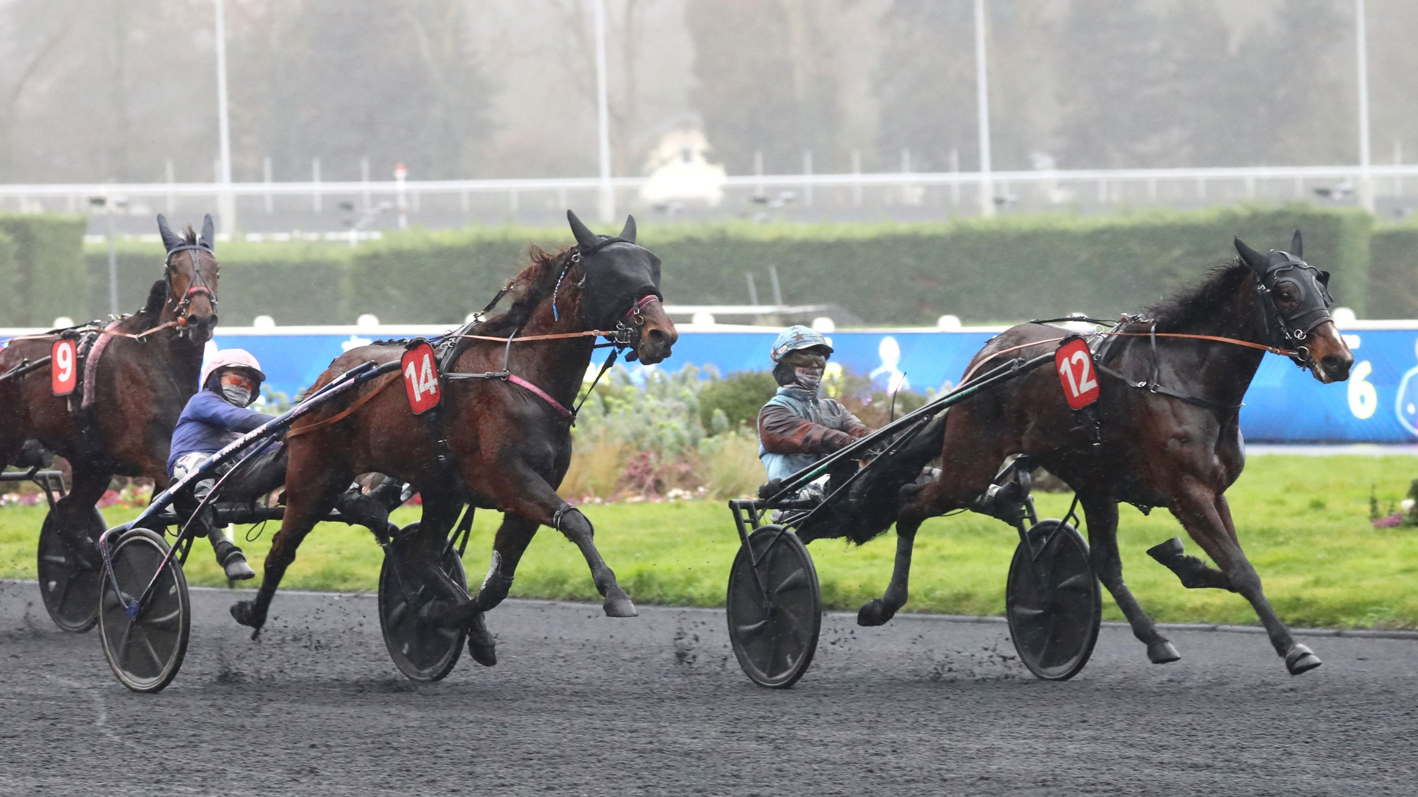 My Save Quick (12) résiste à Marvina Bella (14) - © Aprh