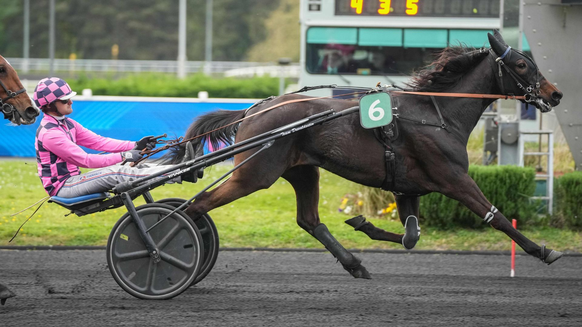 Nacre du Mouthieux - © ScoopDyga