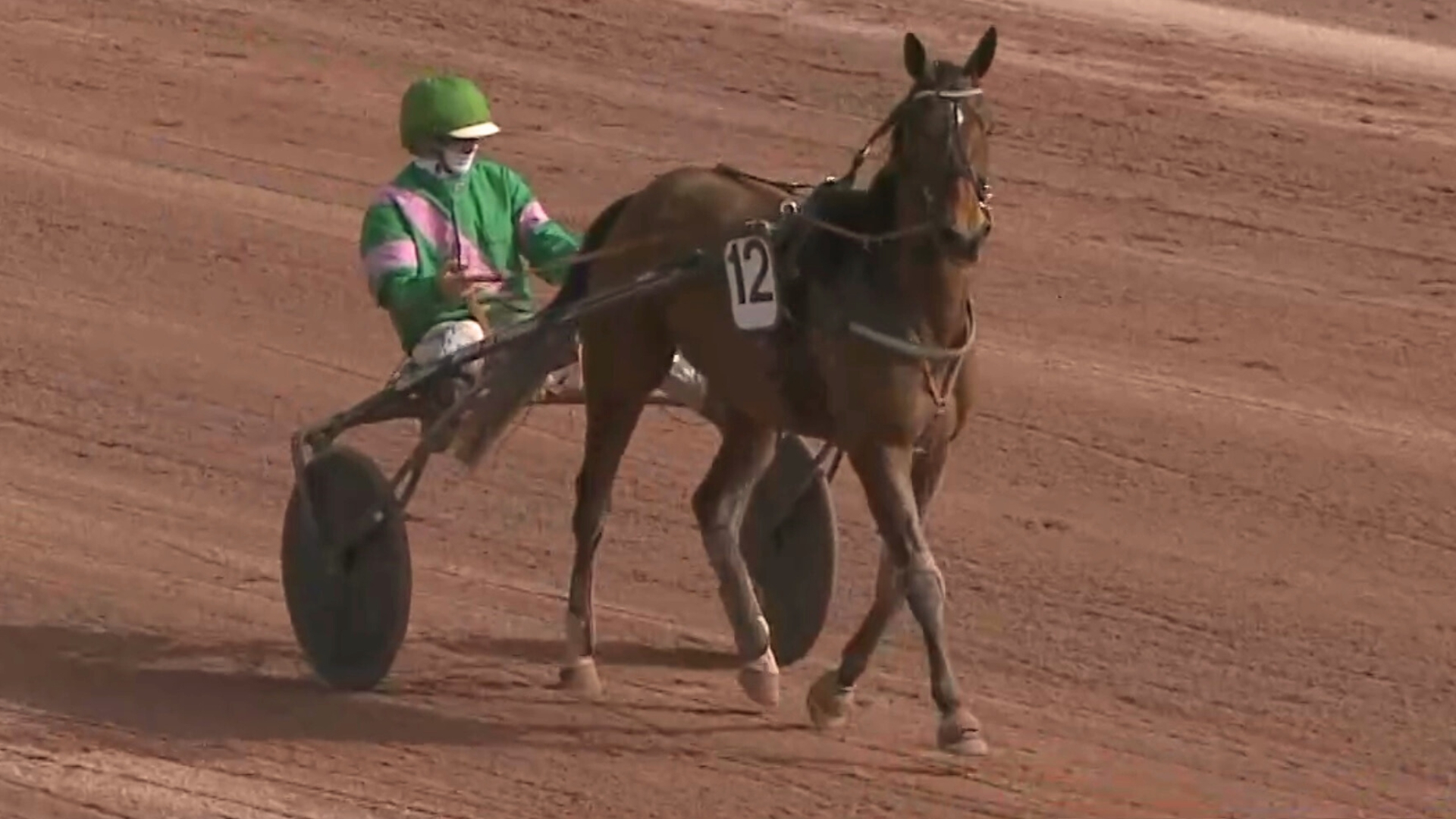 Nanuchka - © Equidia