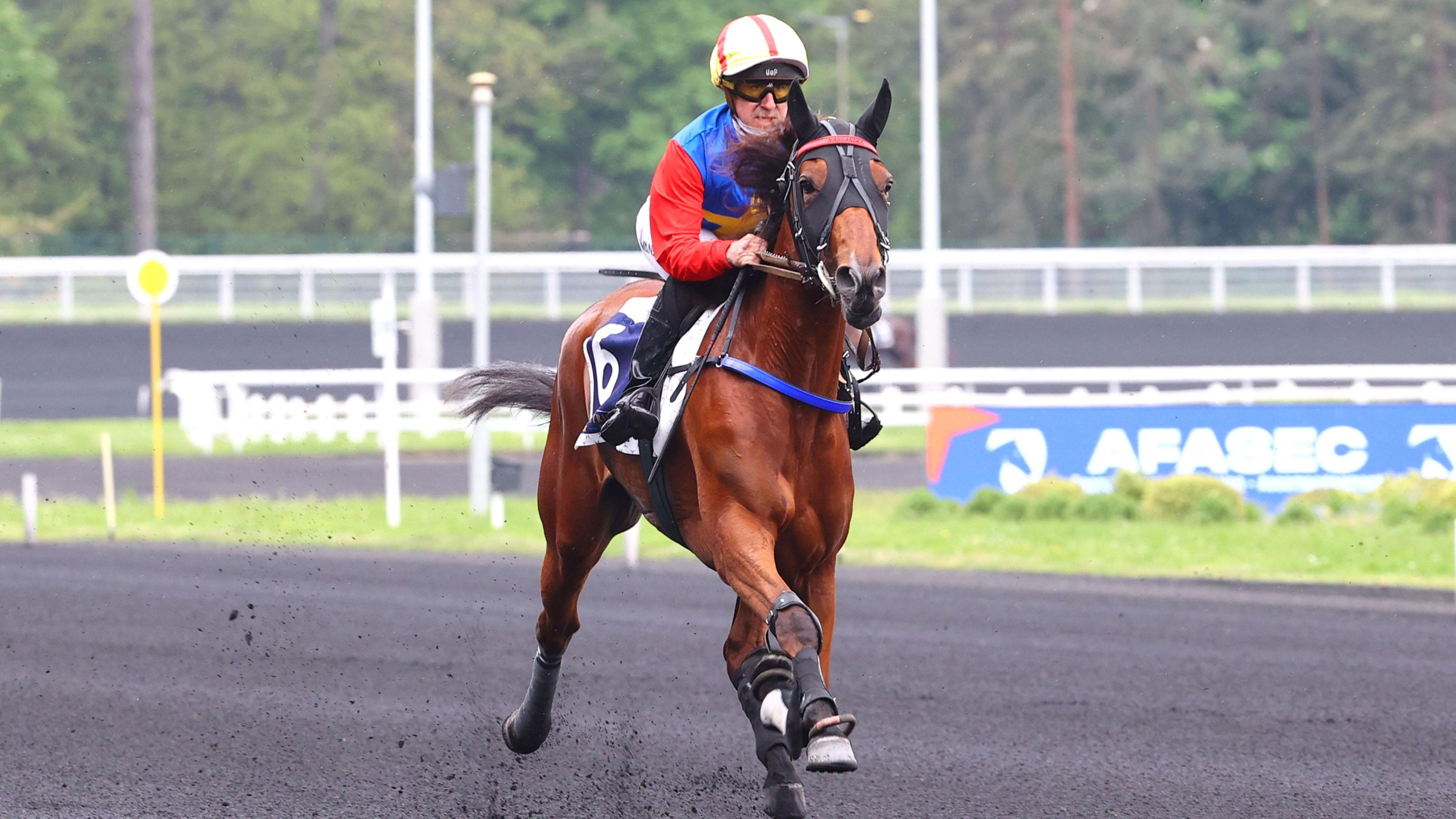 Nassandra - © ScoopDyga