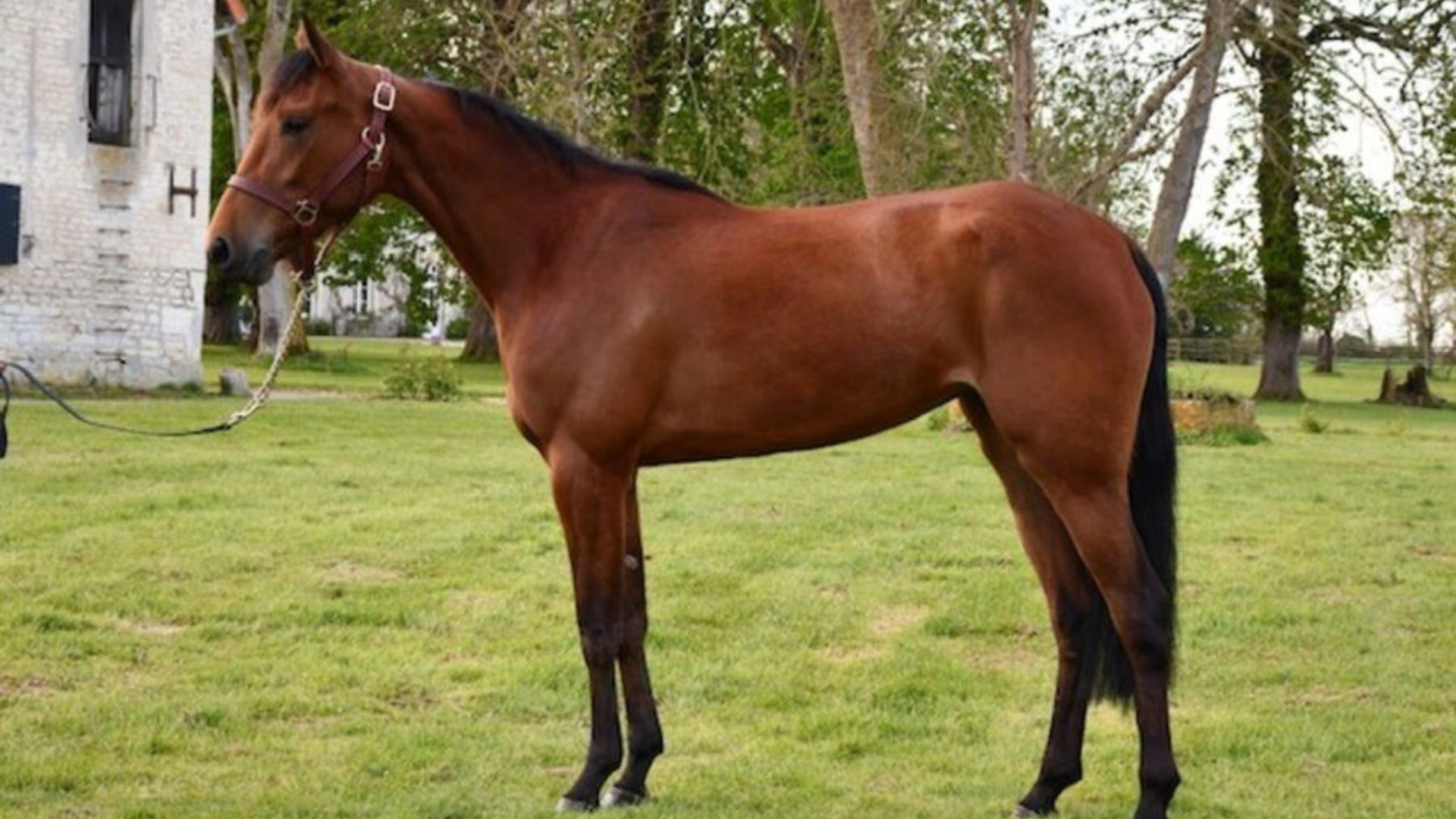 Natasha du Campus - ©Auctav