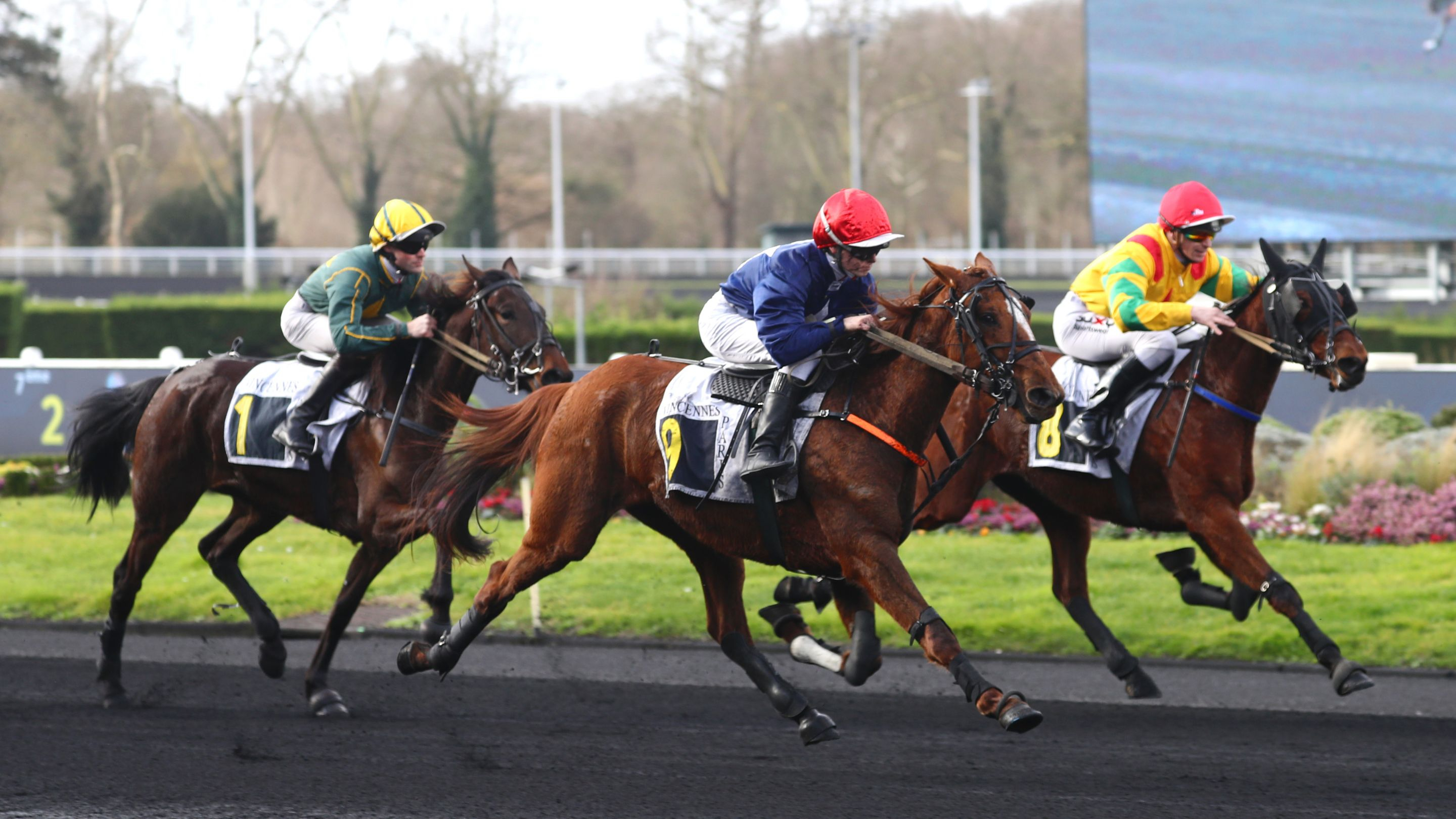 Nature du Goutier (au premier plan) - © Aprh