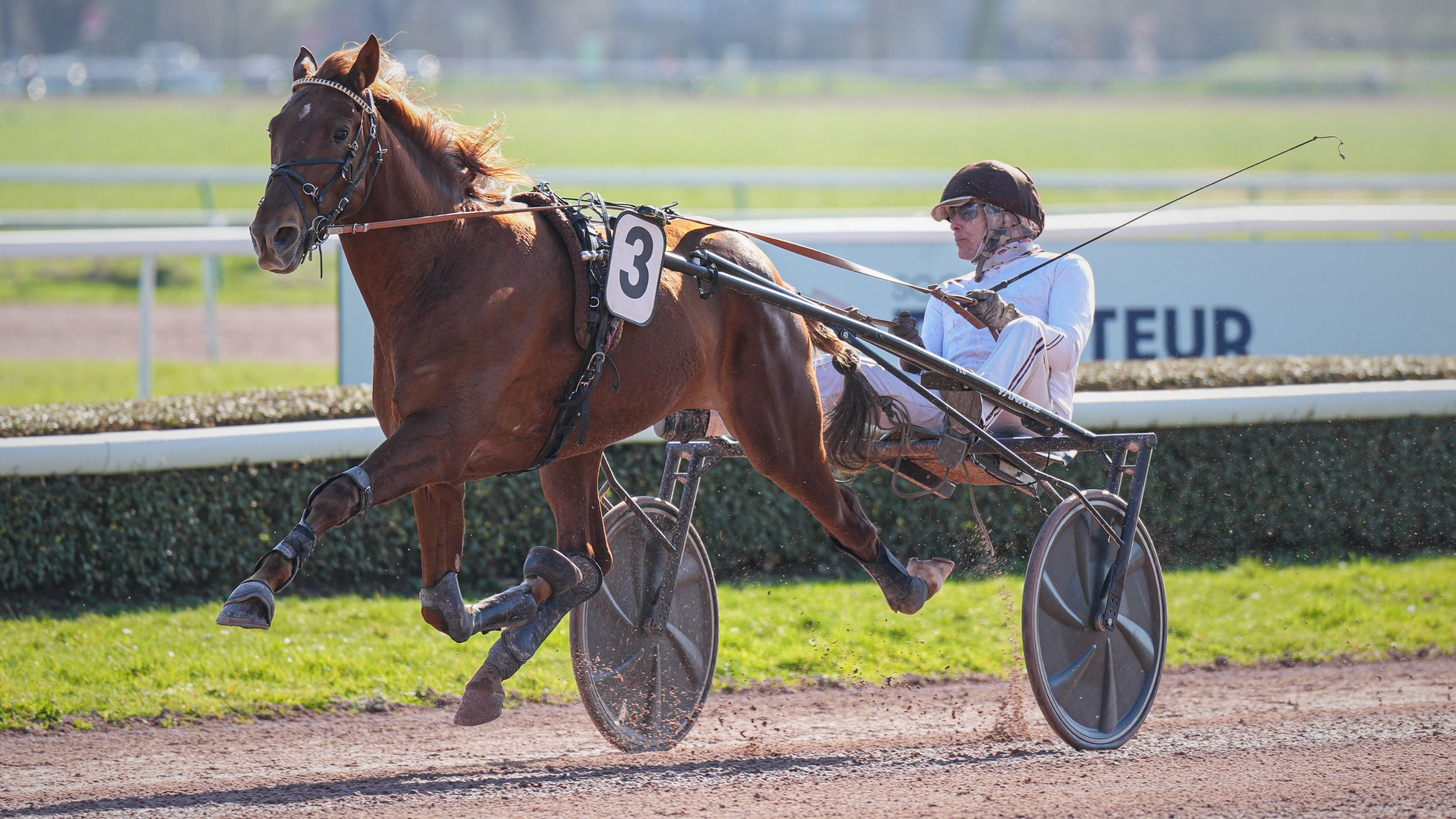 Navy Seal ouvre brillamment son palmarès - © Aprh