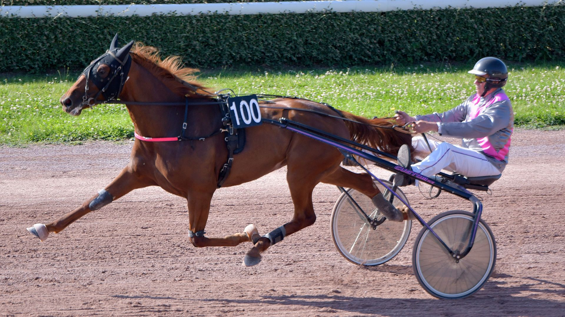 Nazca lors de sa qualifications à Caen - ©ProvinceCourses