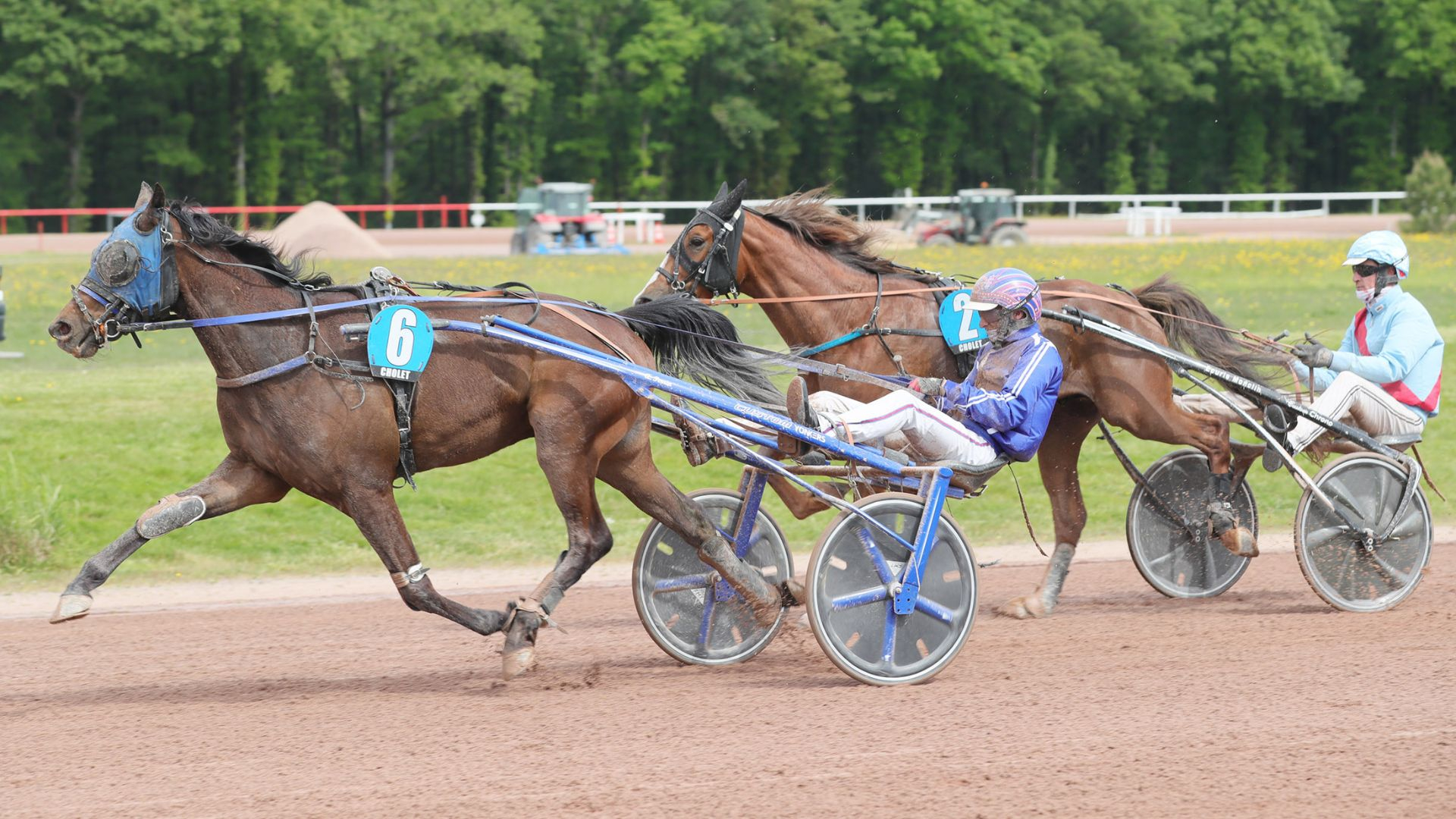 Neer Al Mor - © Jean-Charles Briens